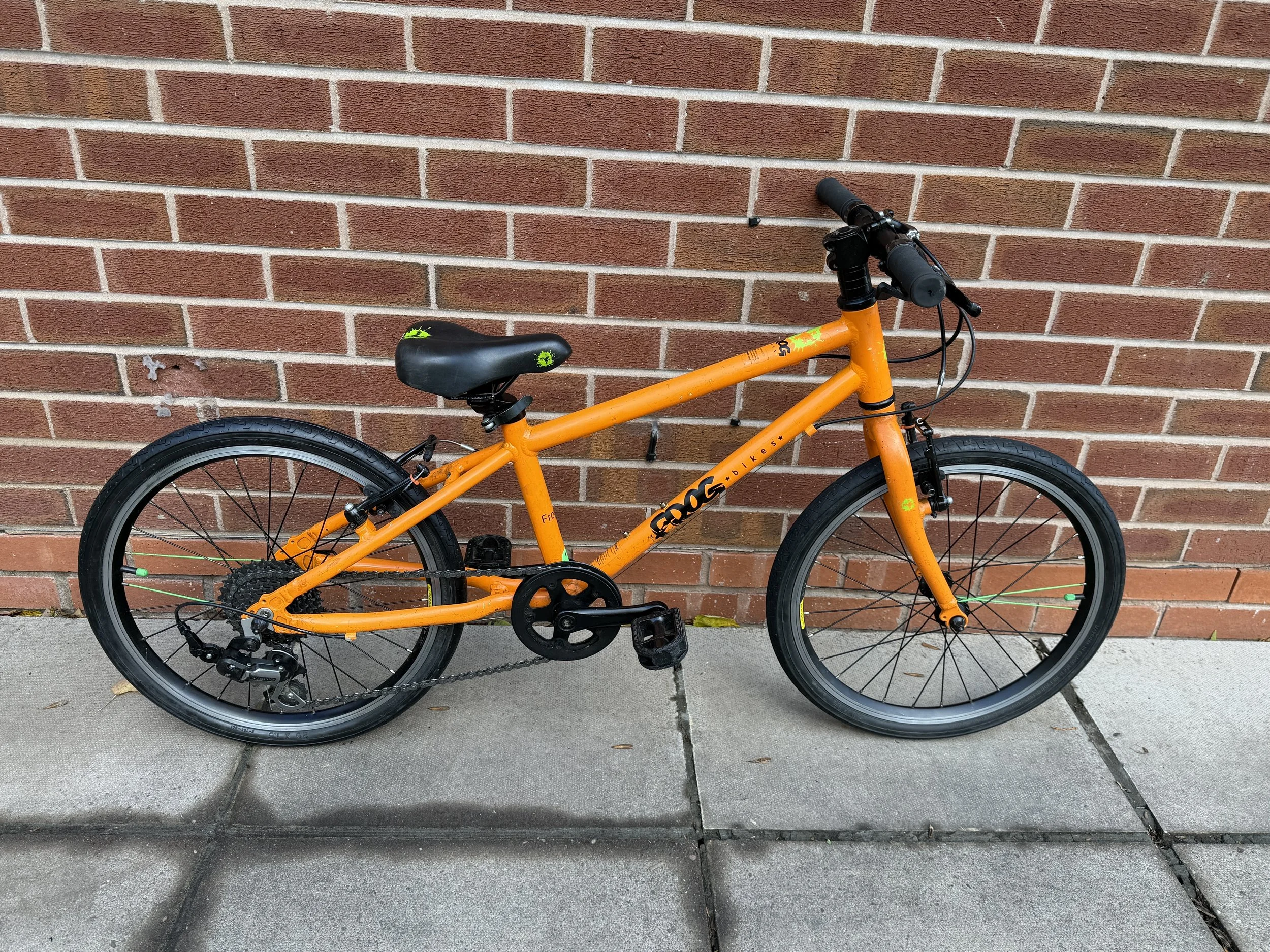 Frog Bike 55 6 .jpg