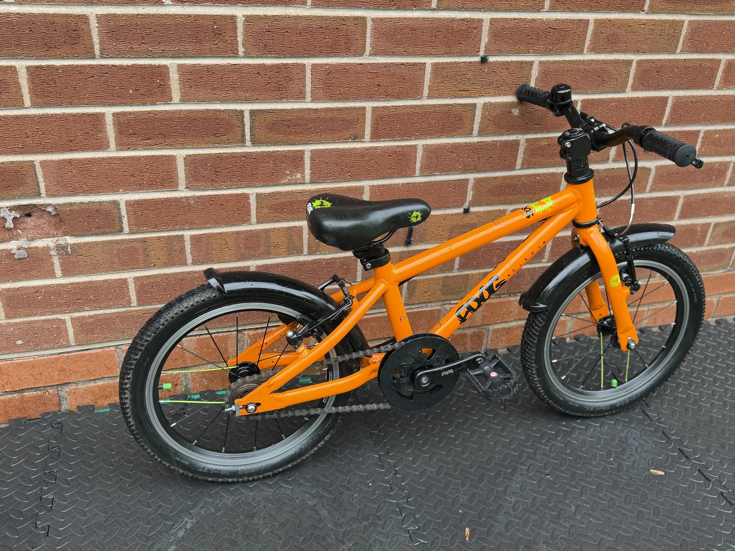 Orange Frog 48 8 .jpg