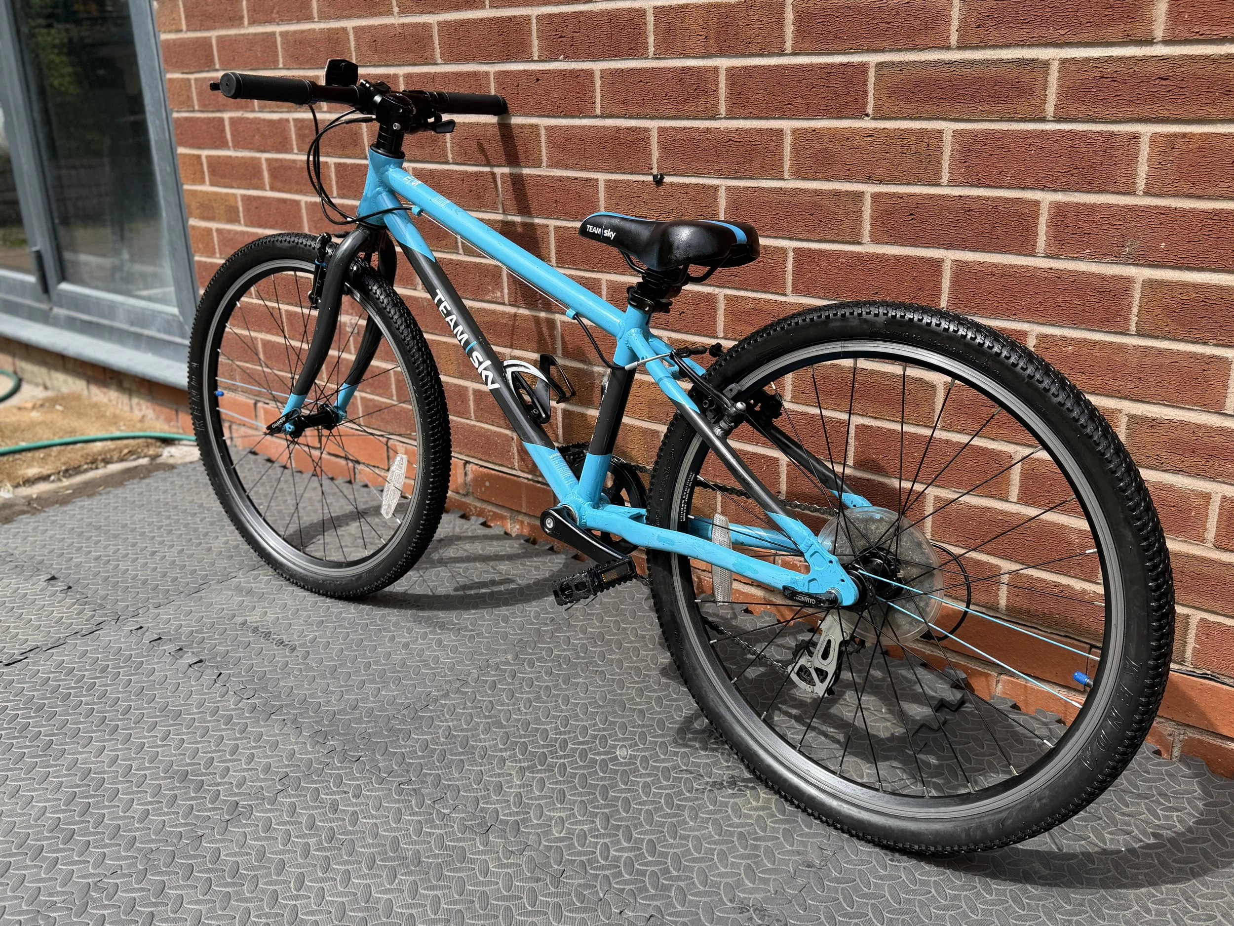 Team Sky Frog Bike 4 .jpg