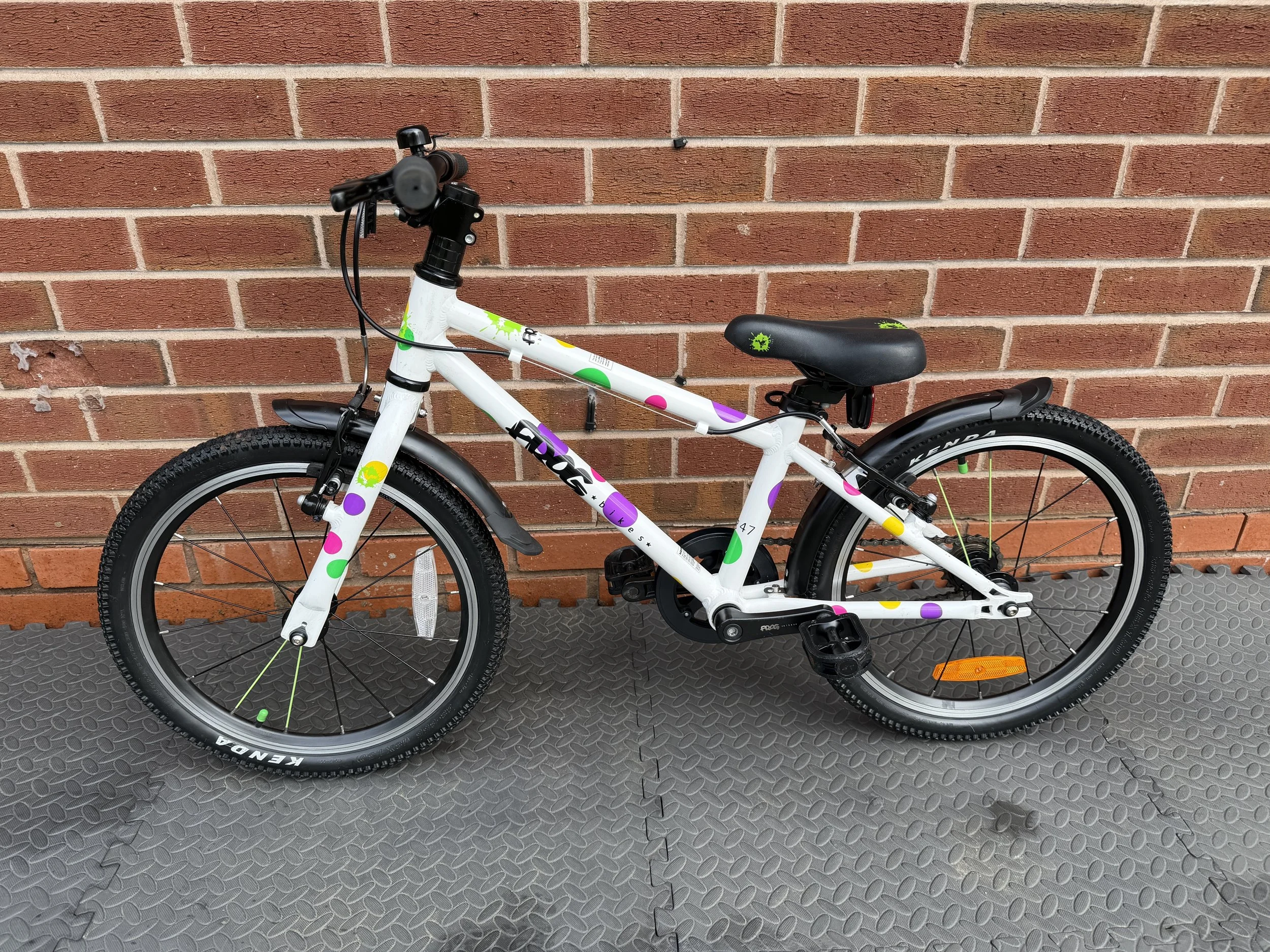 Spotty Frog 47 1.jpg