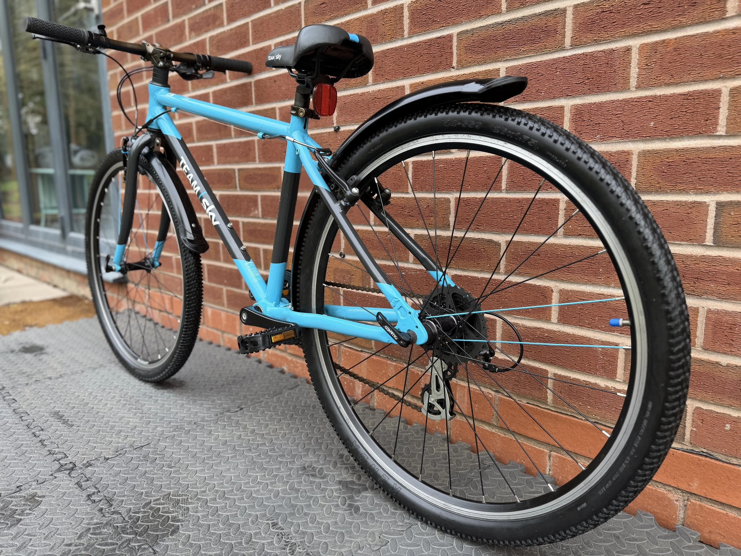 Team Sky Frog 73 4.jpg