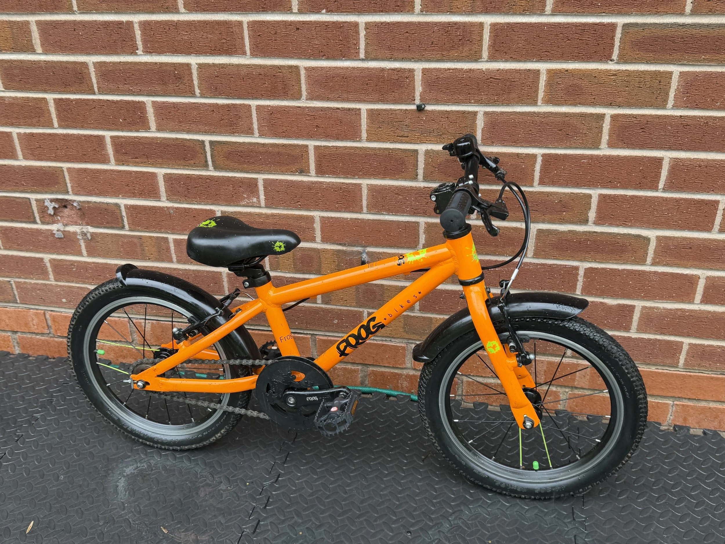 Orange Frog 48 7 .jpg