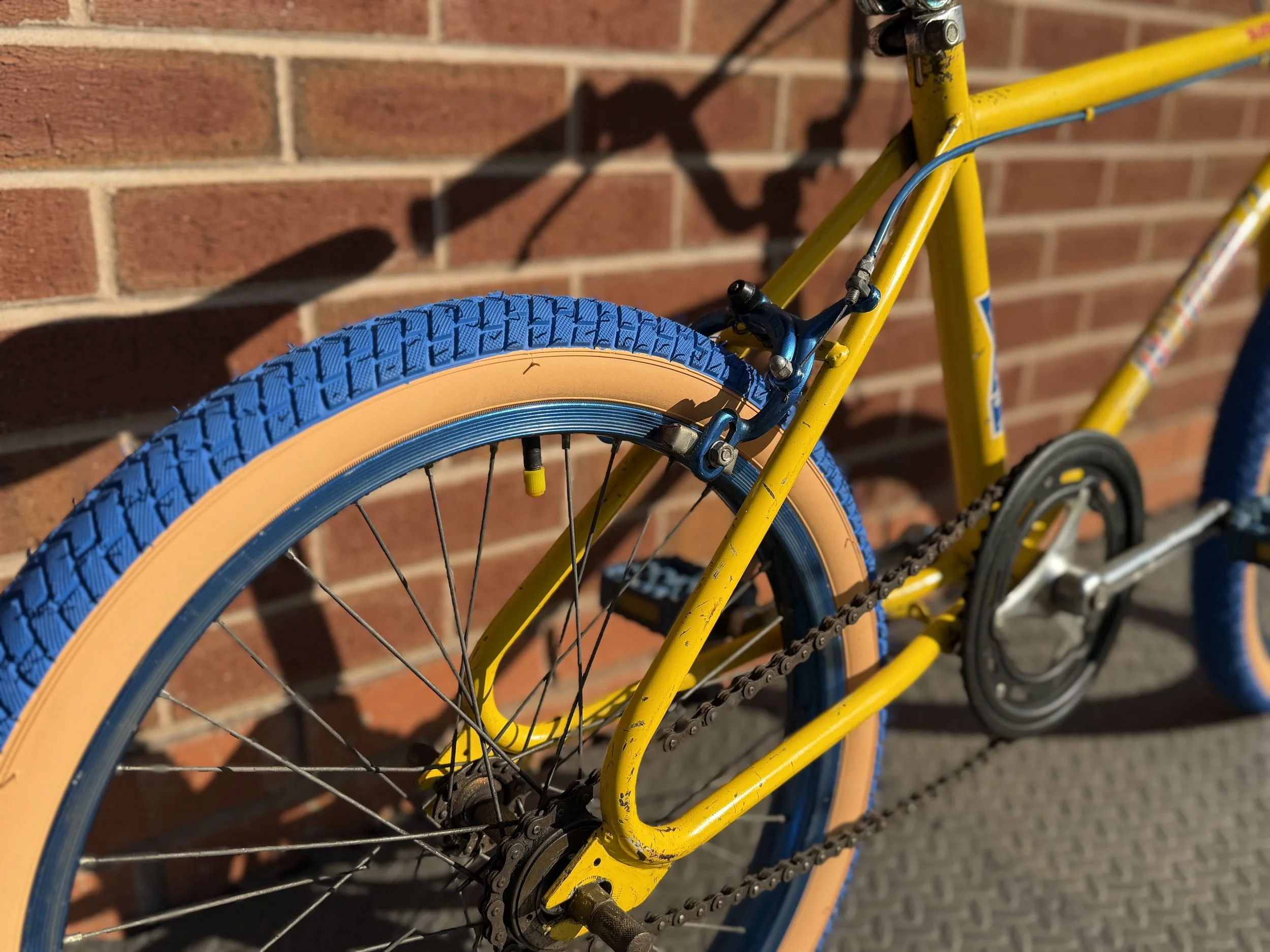 Old School BMX 17 .jpg