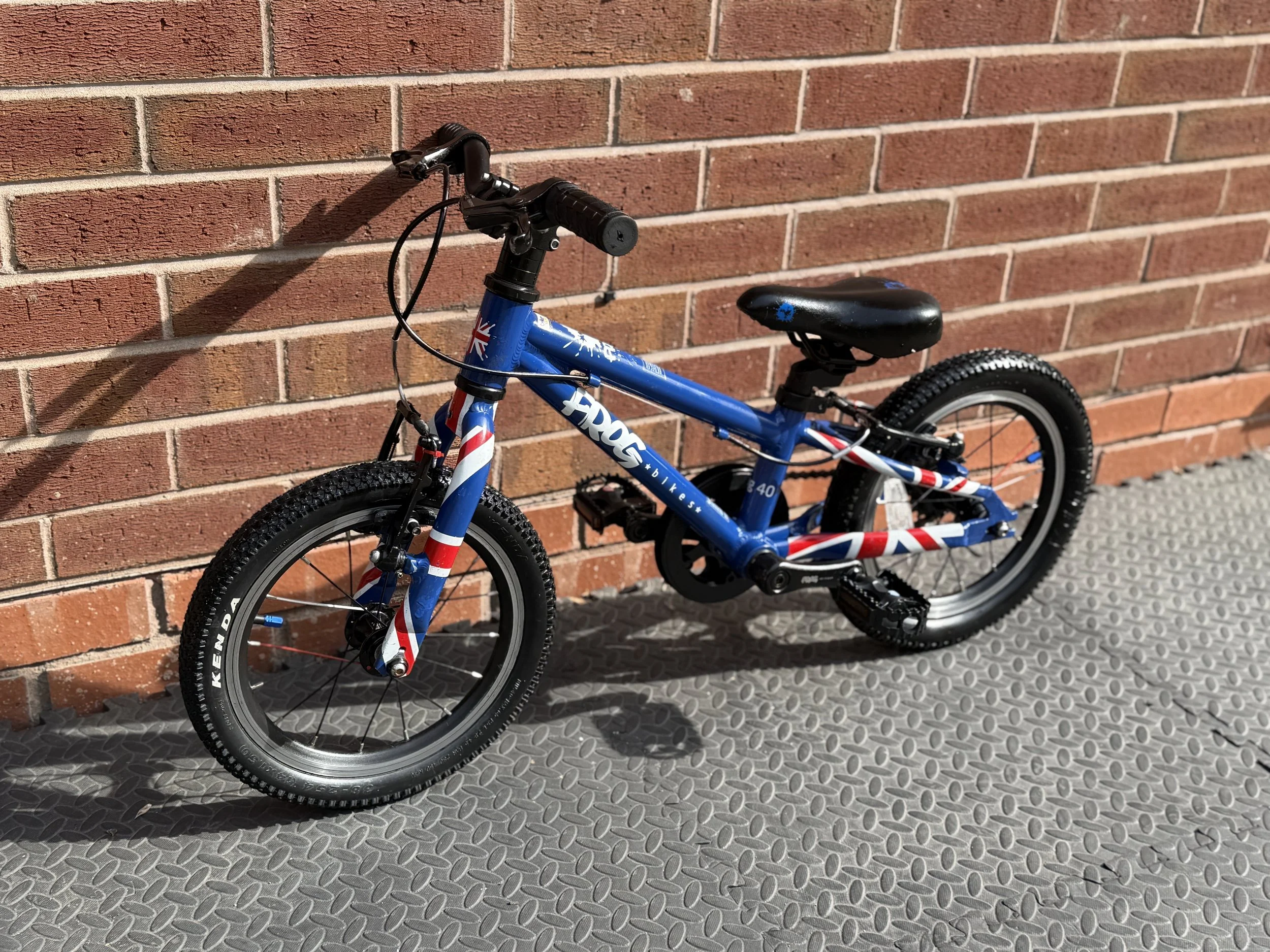 Blue Frog 40 first pedal bike 2  2.jpg