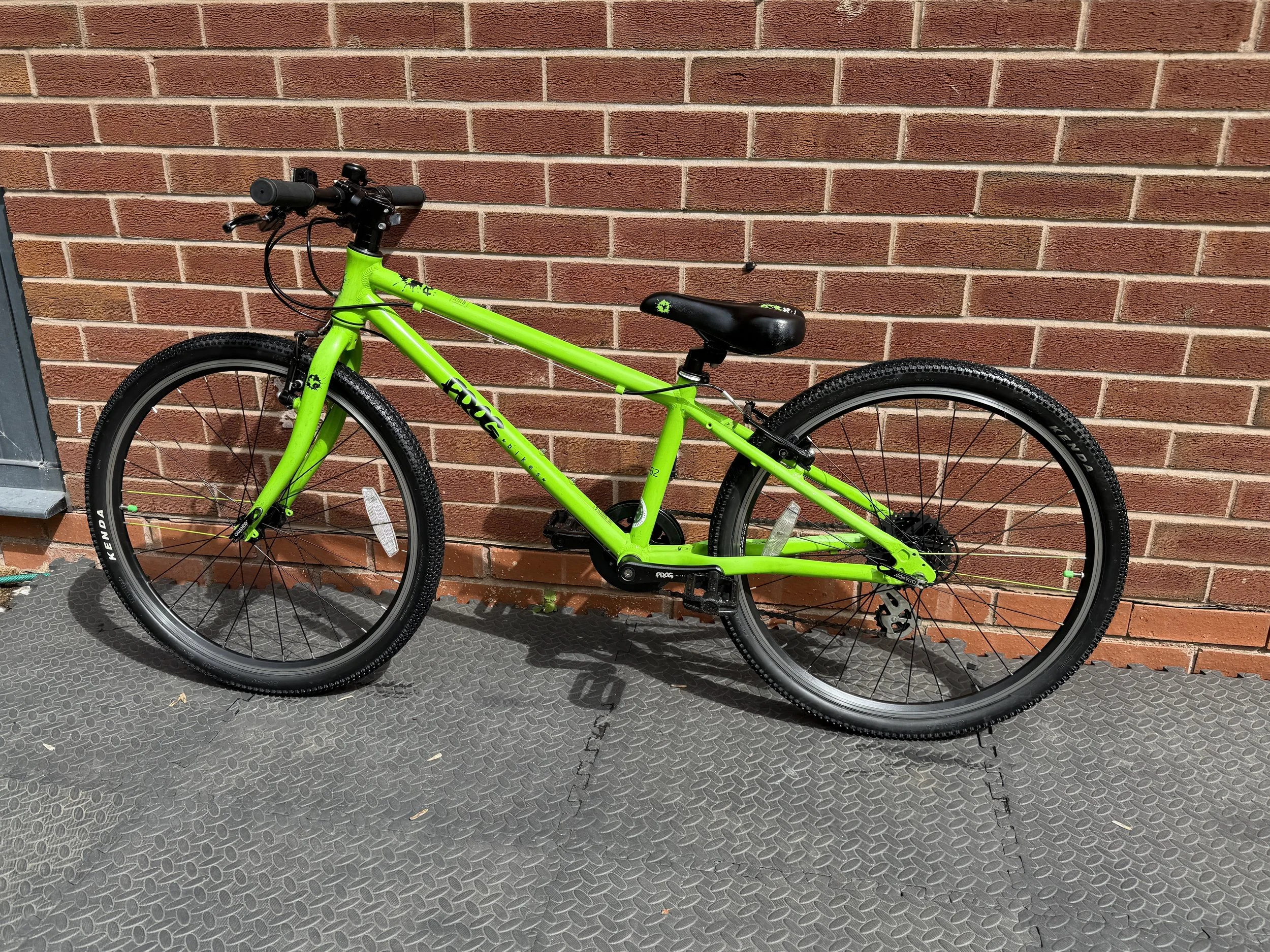 Green Frog Bike 62 3 .jpg