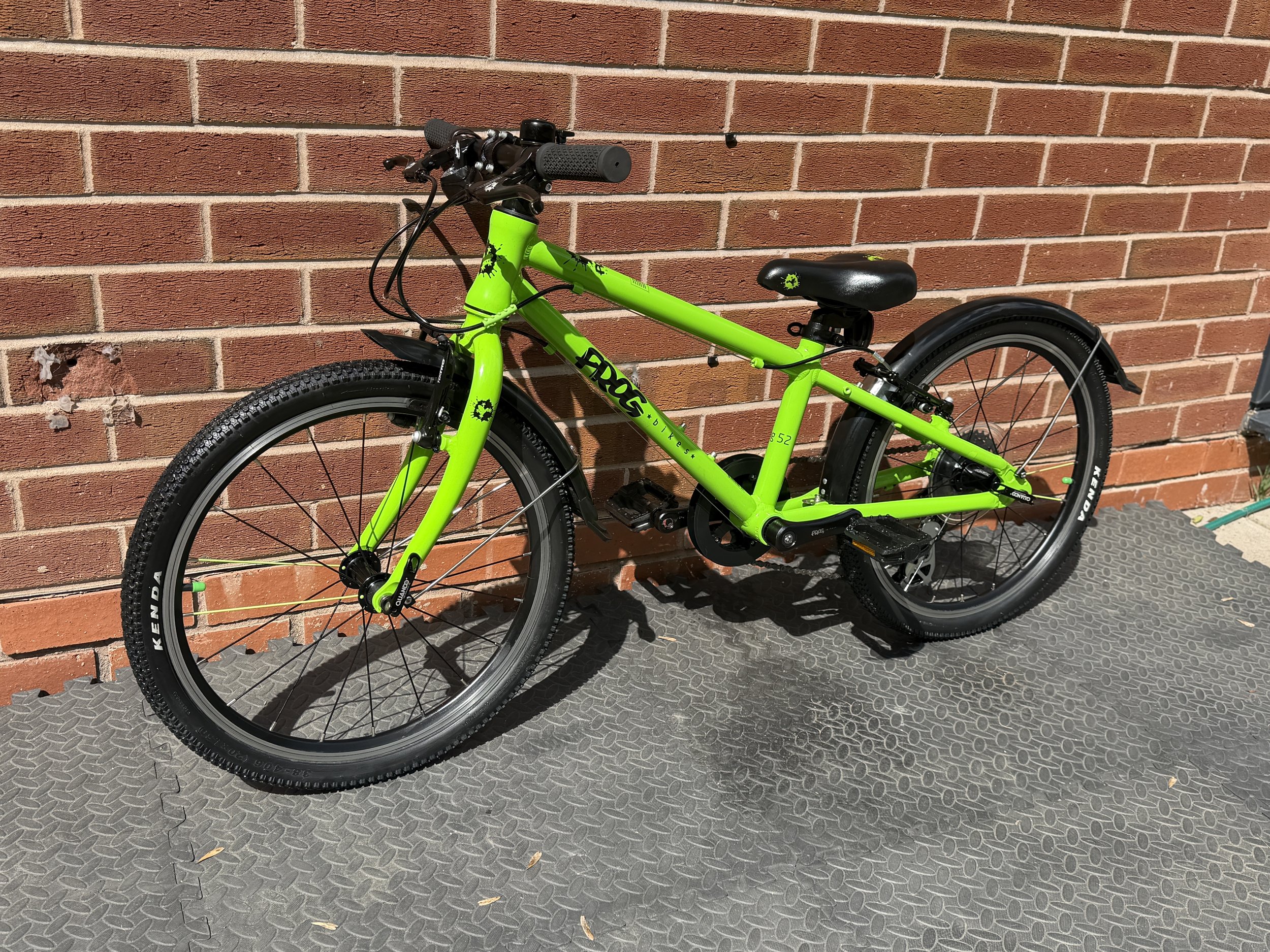 Green Frog 52 2 .jpg