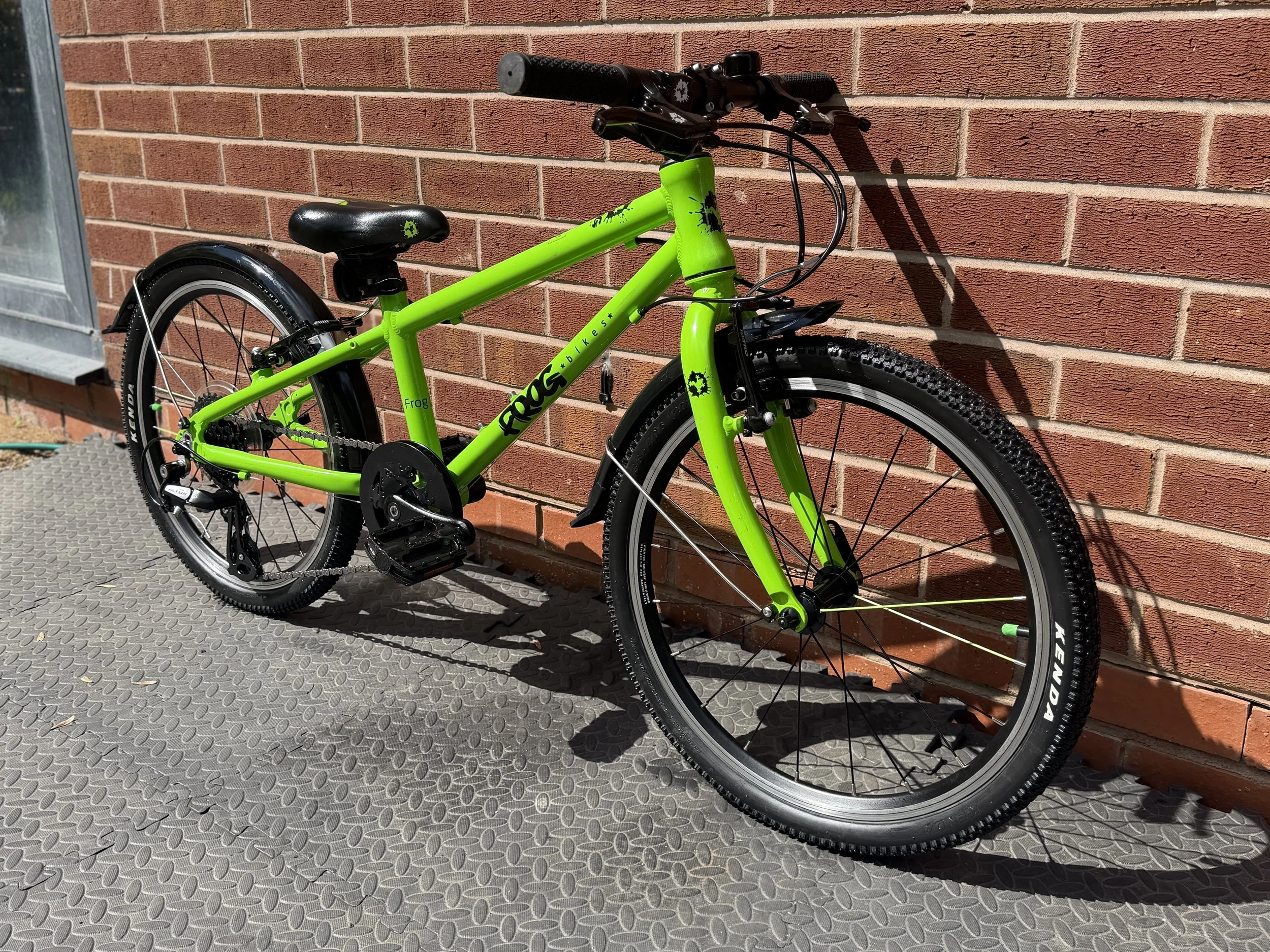 Green Frog 52 9 .jpg