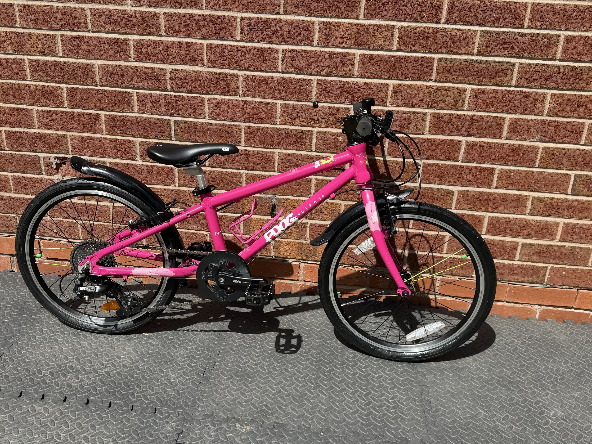 Pink Frog Bike 52 8 .jpg