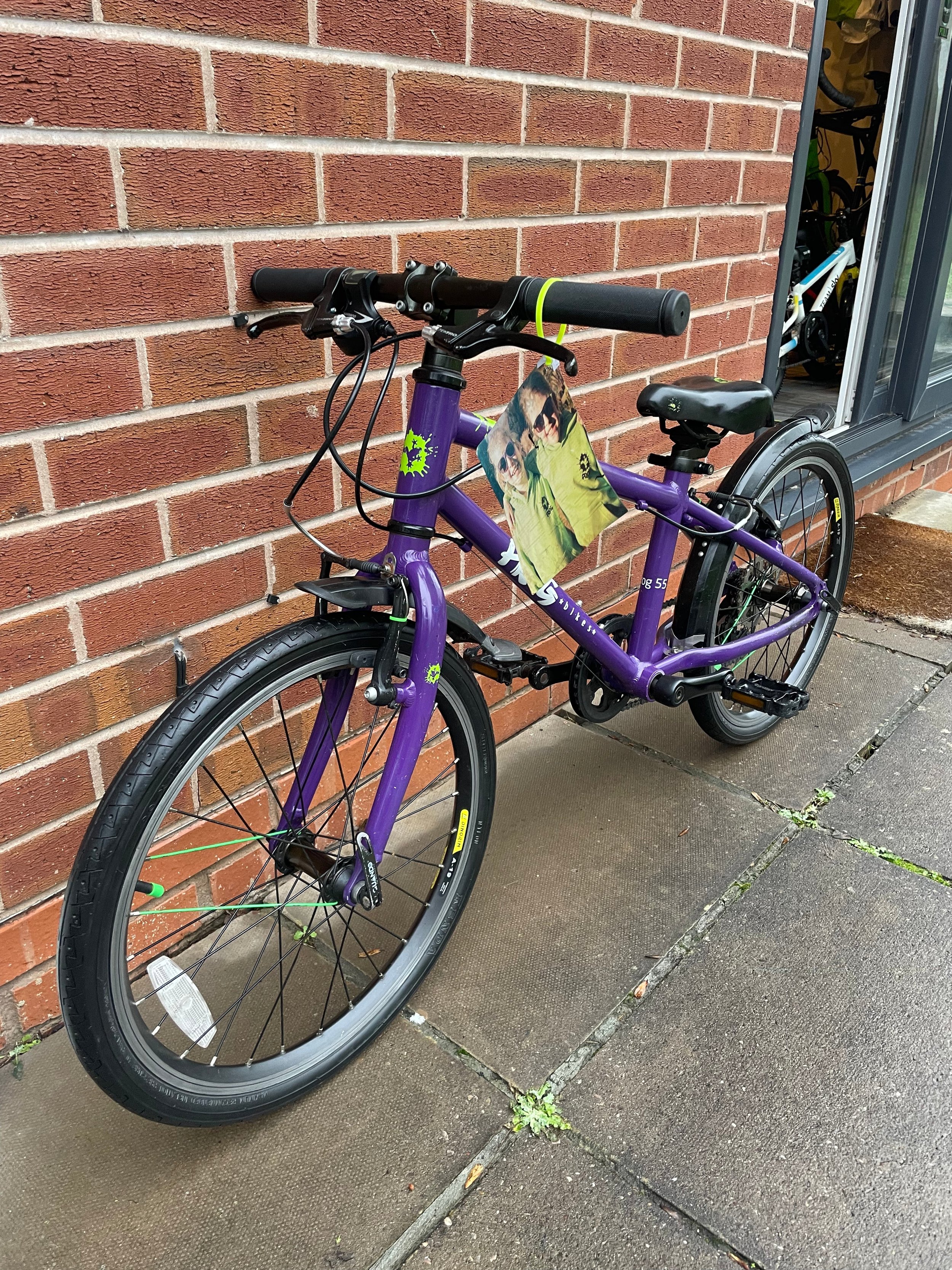 Frog 55 Purple 5.jpg