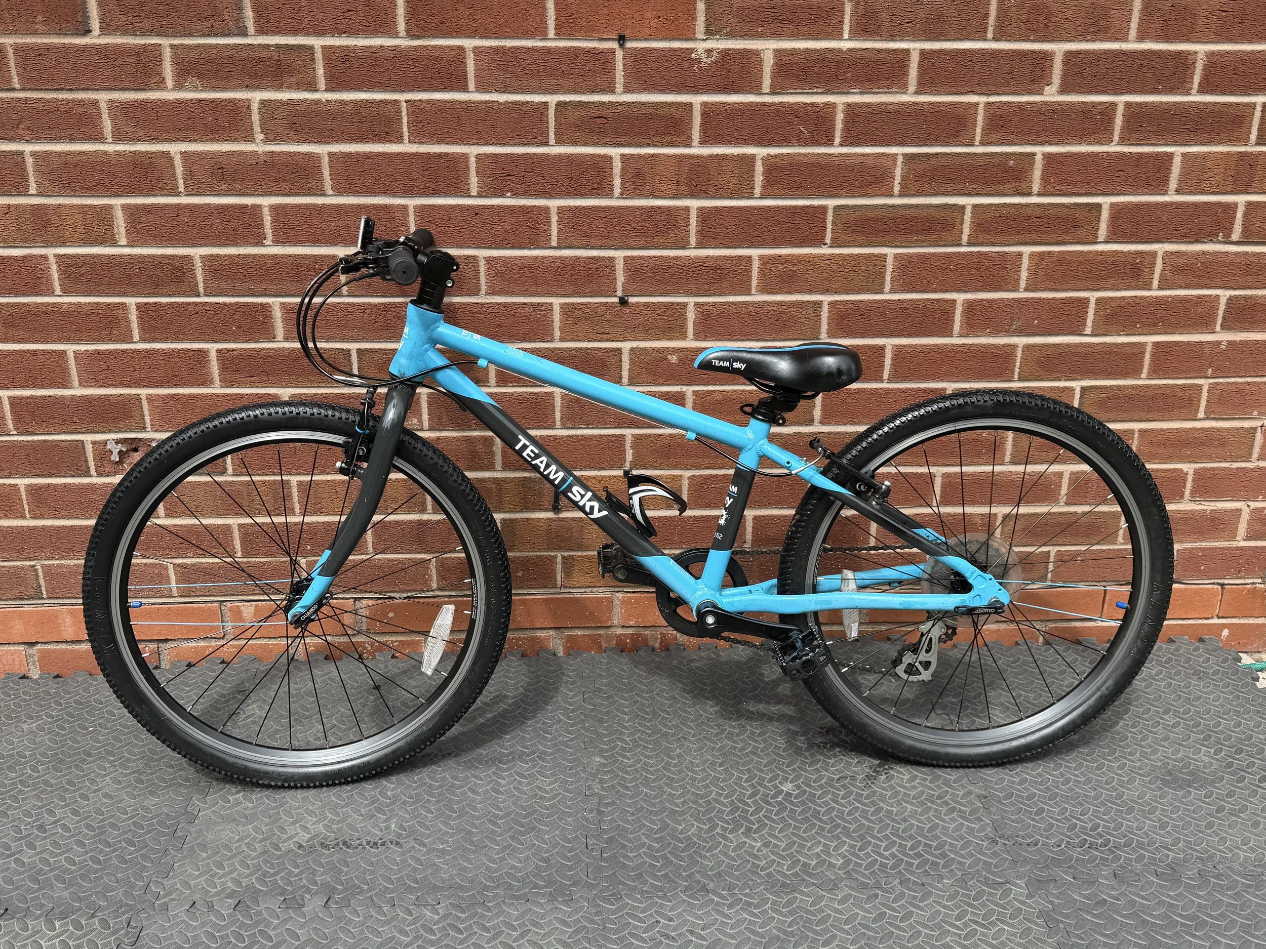 Team Sky Frog Bike 1 .jpg