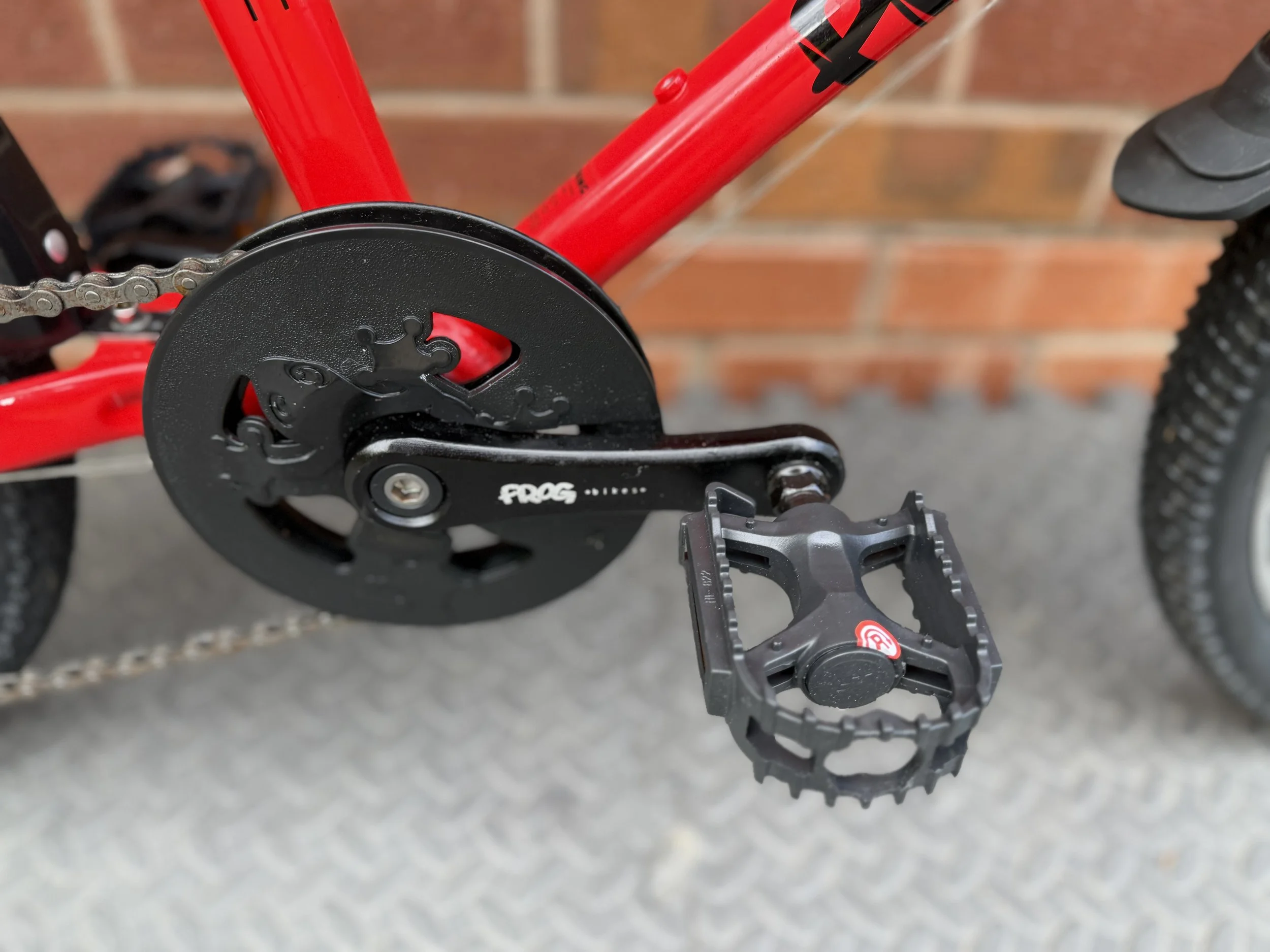 Red Frog 55 12 .jpg