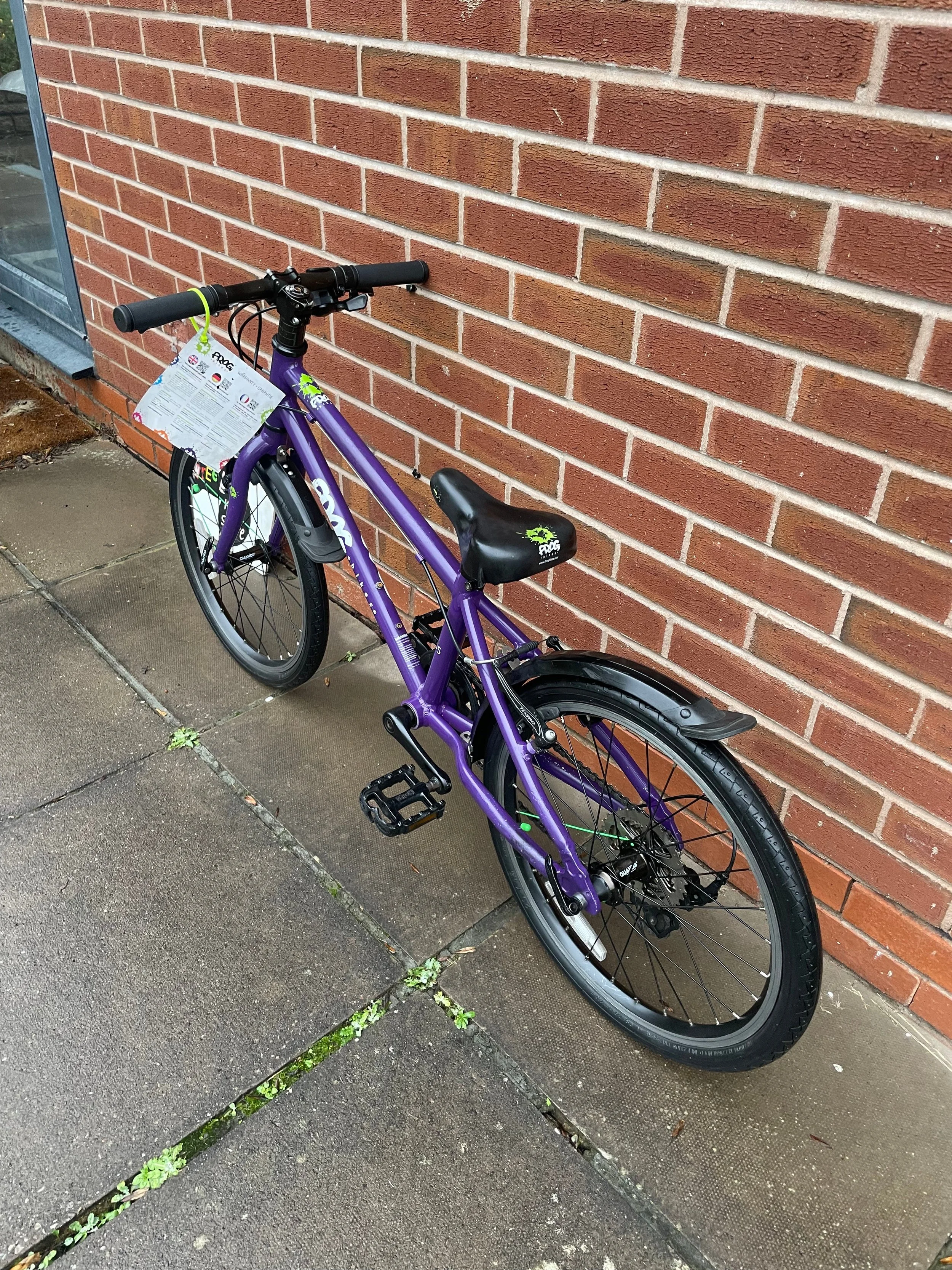 Frog 55 Purple 4.jpg