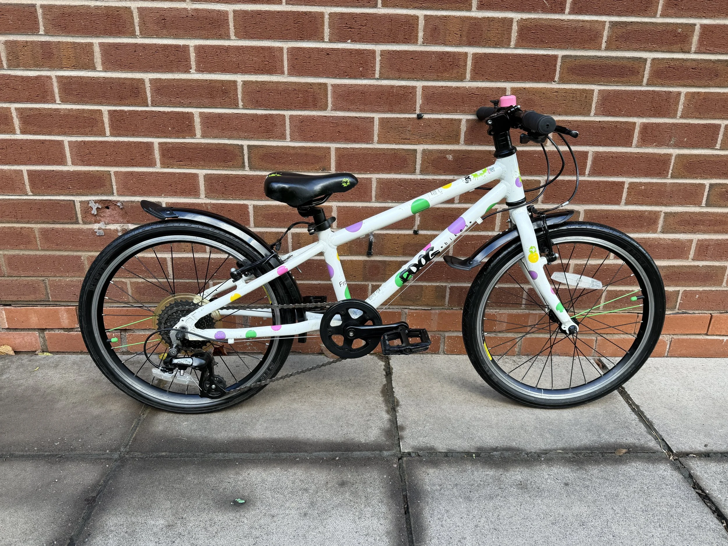 Spotty Frog Bike 6 .jpg
