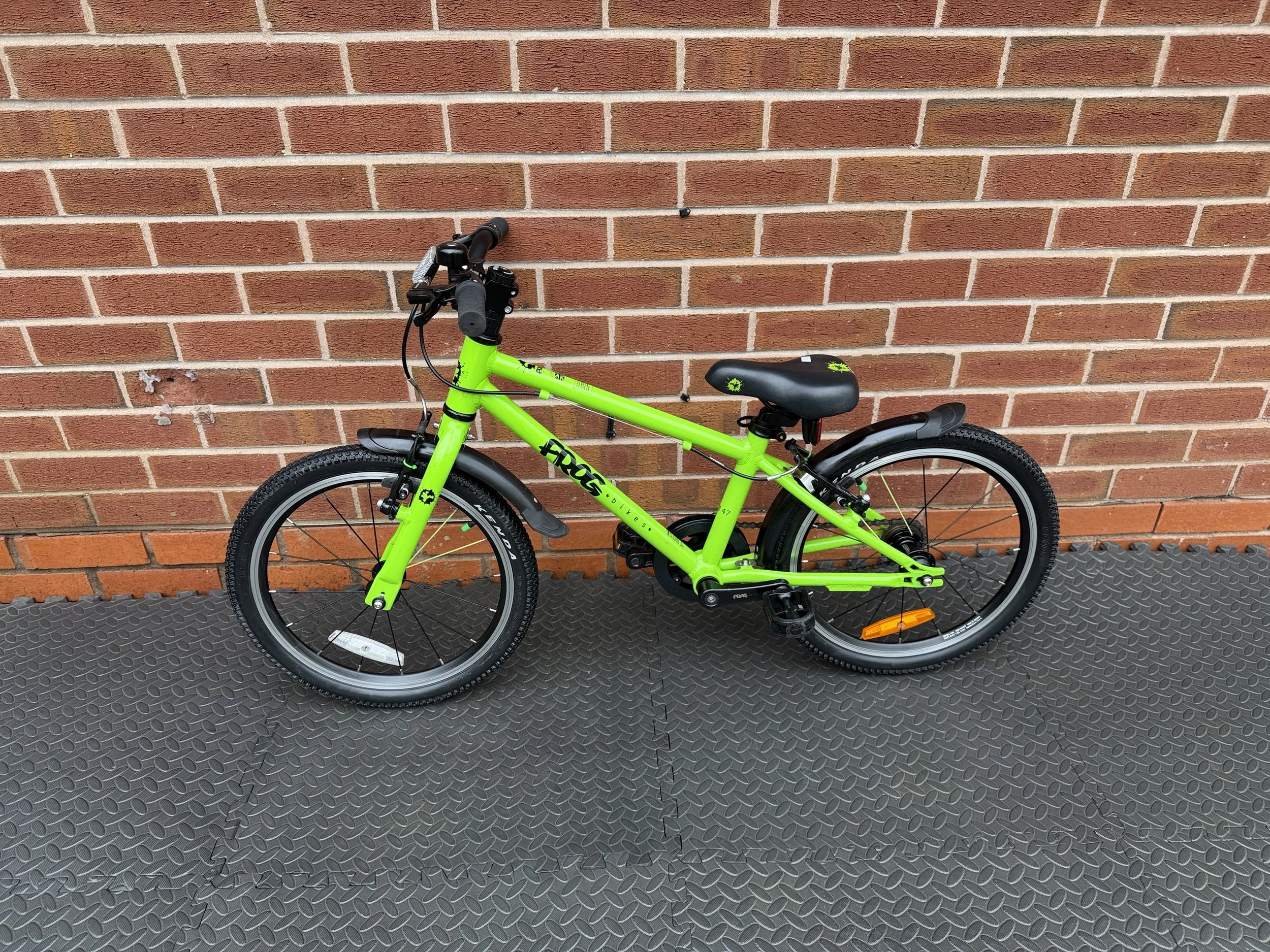 Green Frog 47 10.jpg