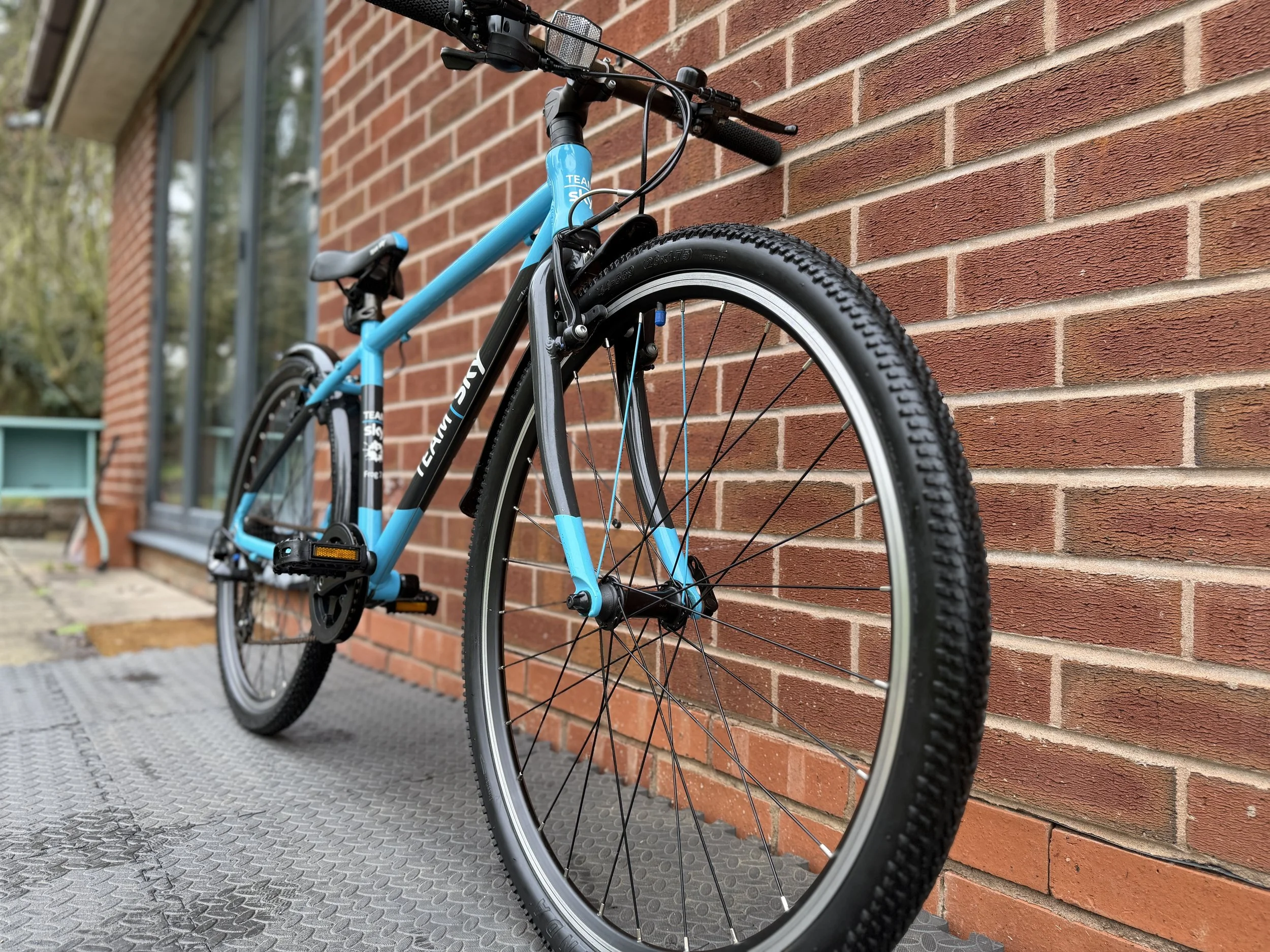 Team Sky Frog 73 9.jpg