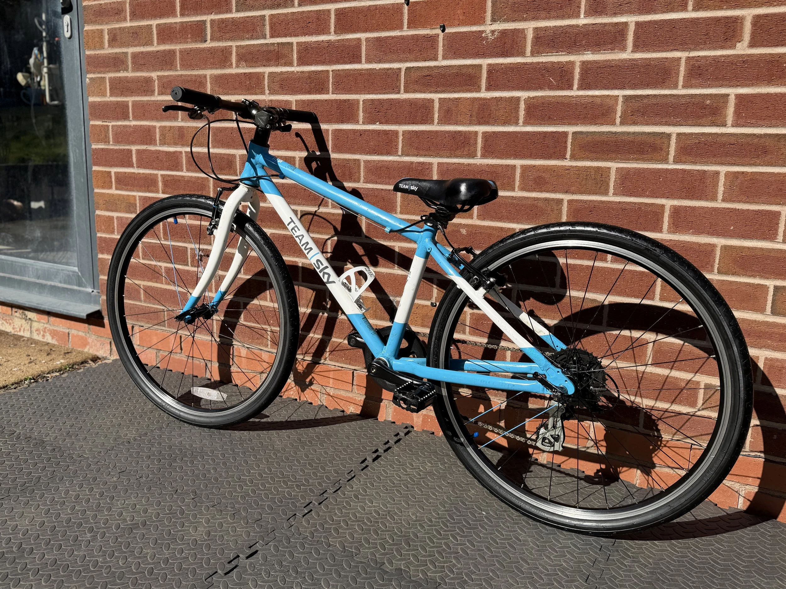 Team Sky Frog 69 3.jpg