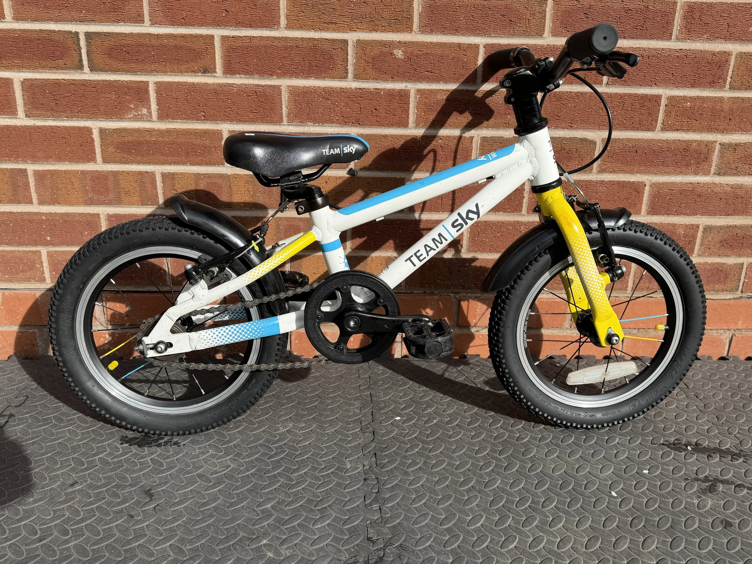 Frog Bike For Sale 6.jpg