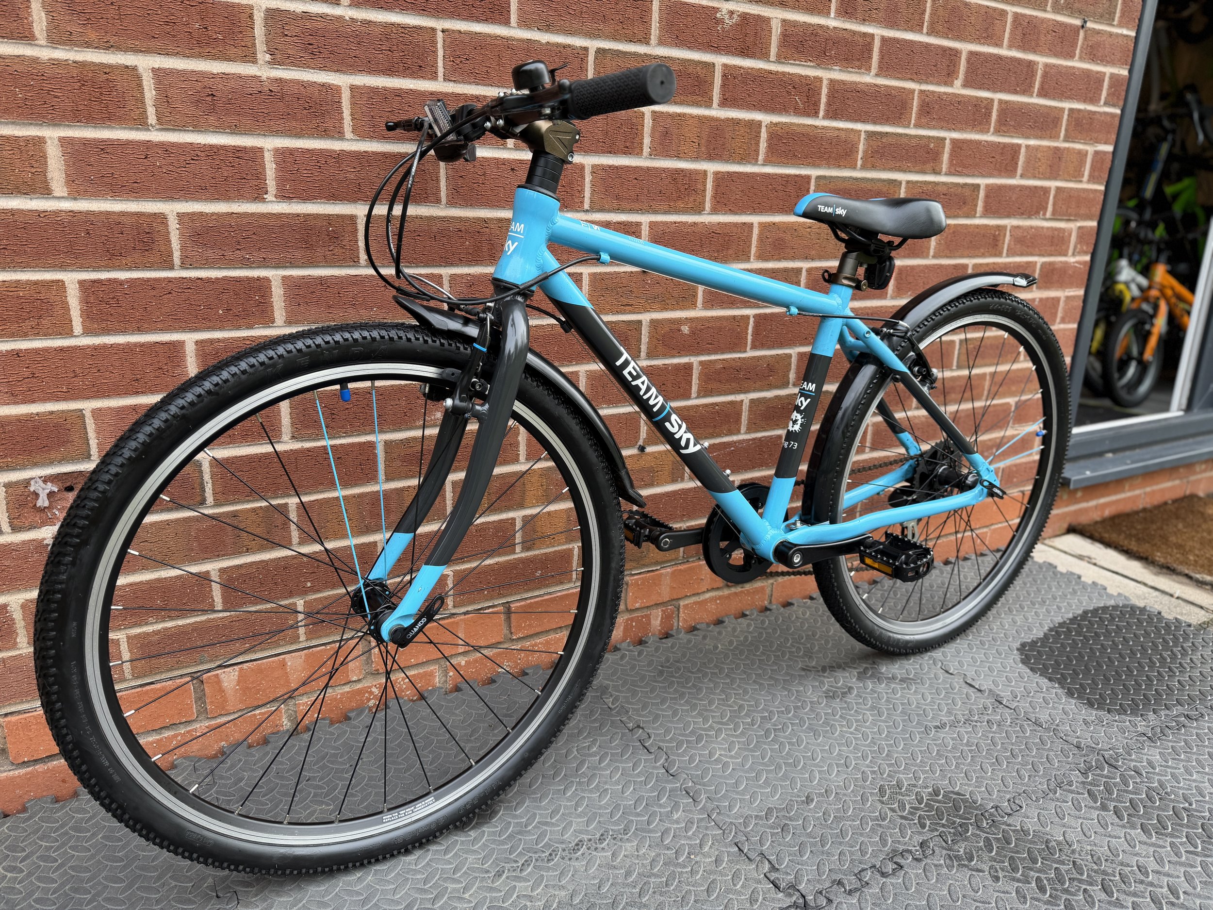 Team Sky Frog 73 2 .jpg