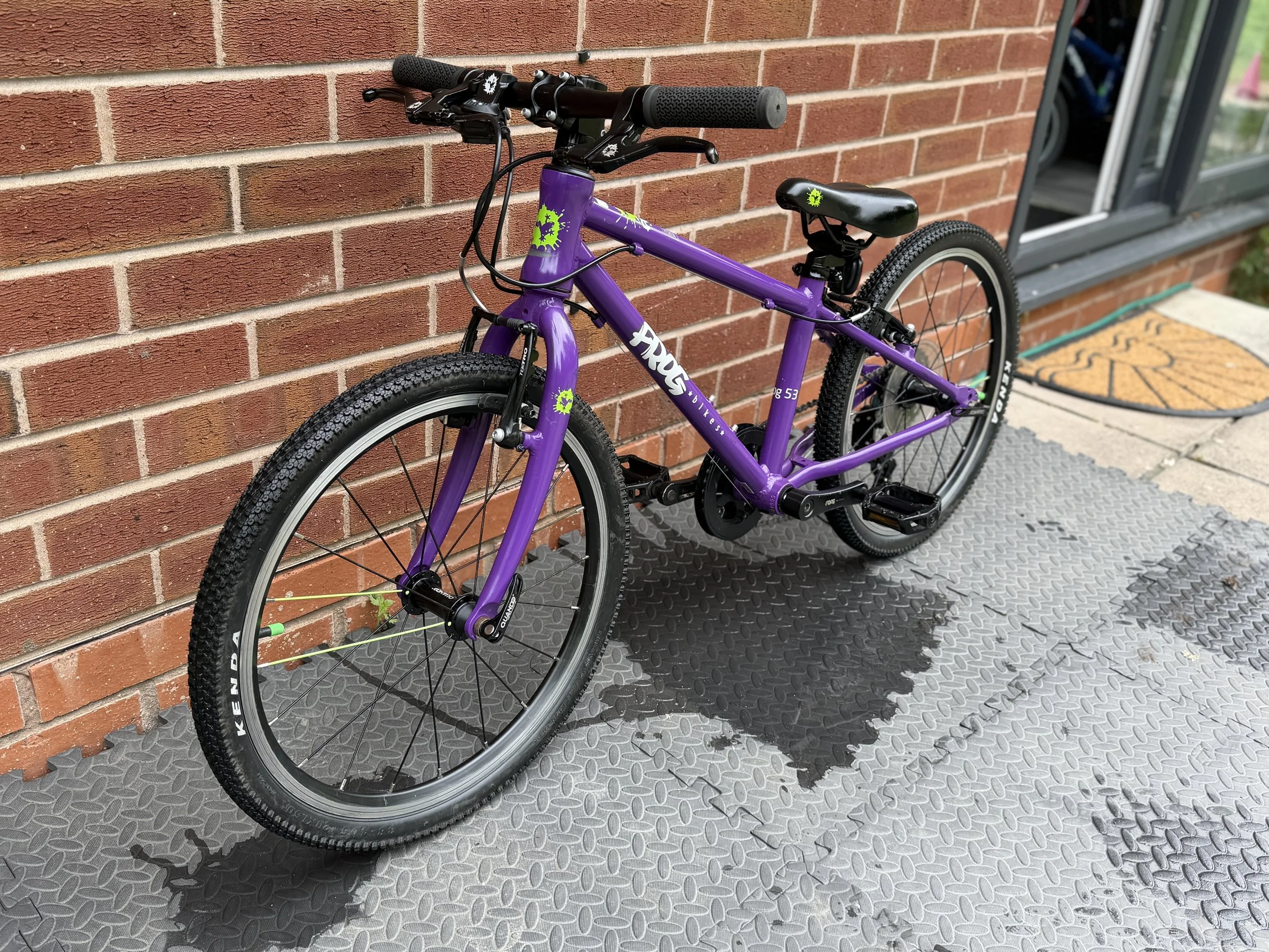 Purple Frog 53 5 .jpg