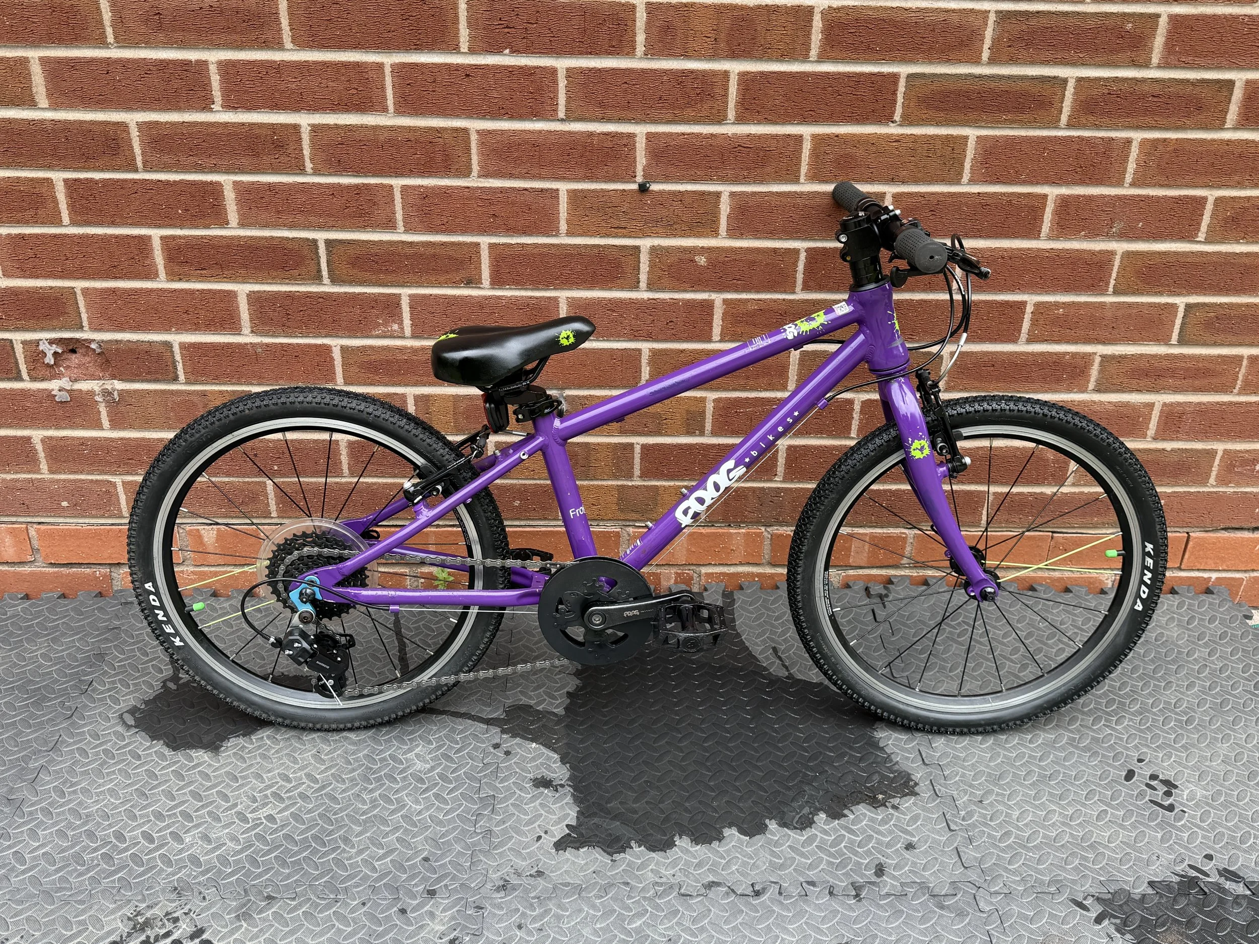 Purple Frog 53 6 .jpg