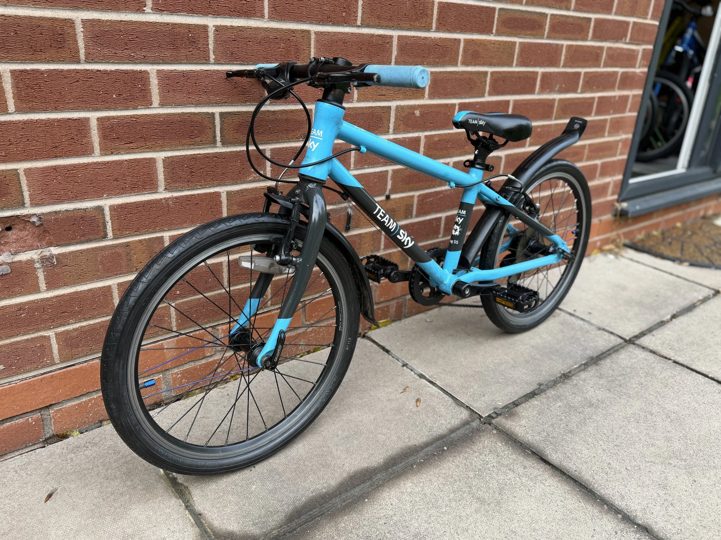 Frog Bikes for sale 2 .jpg