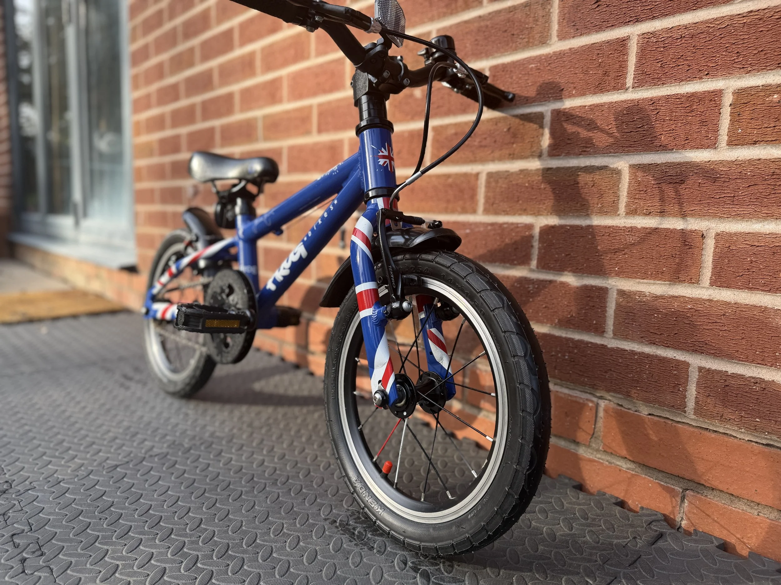 Blue Frog Bike 43 9.jpg