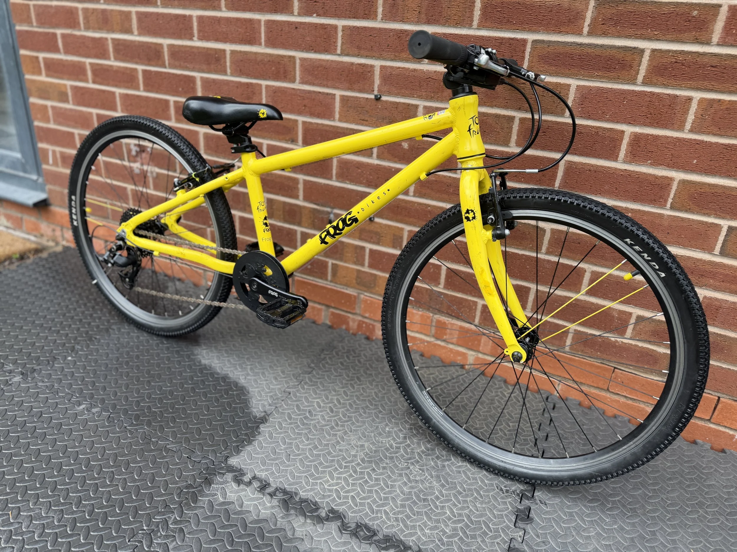 Frog 24” hybrid 8 .jpg