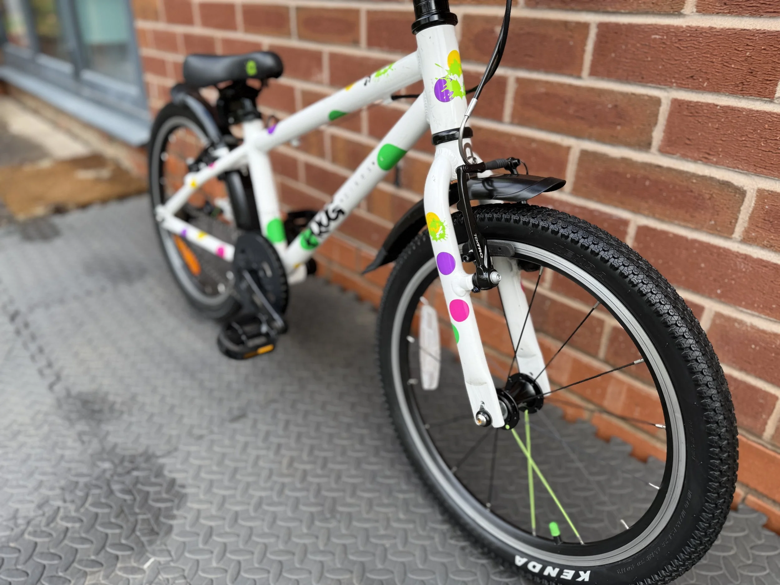 Spotty Frog 47 9.jpg