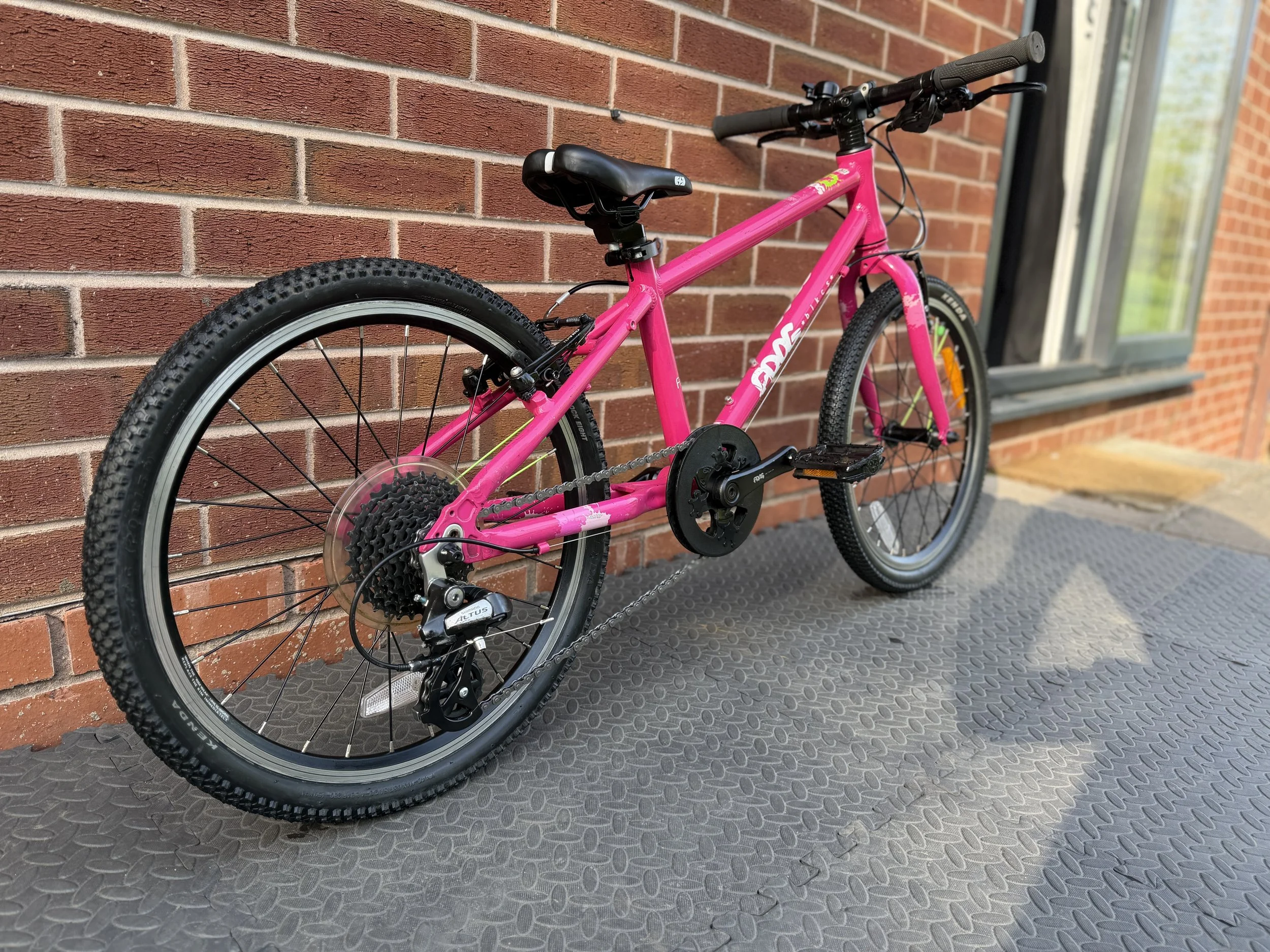 Pink Frog 52 10 .jpg