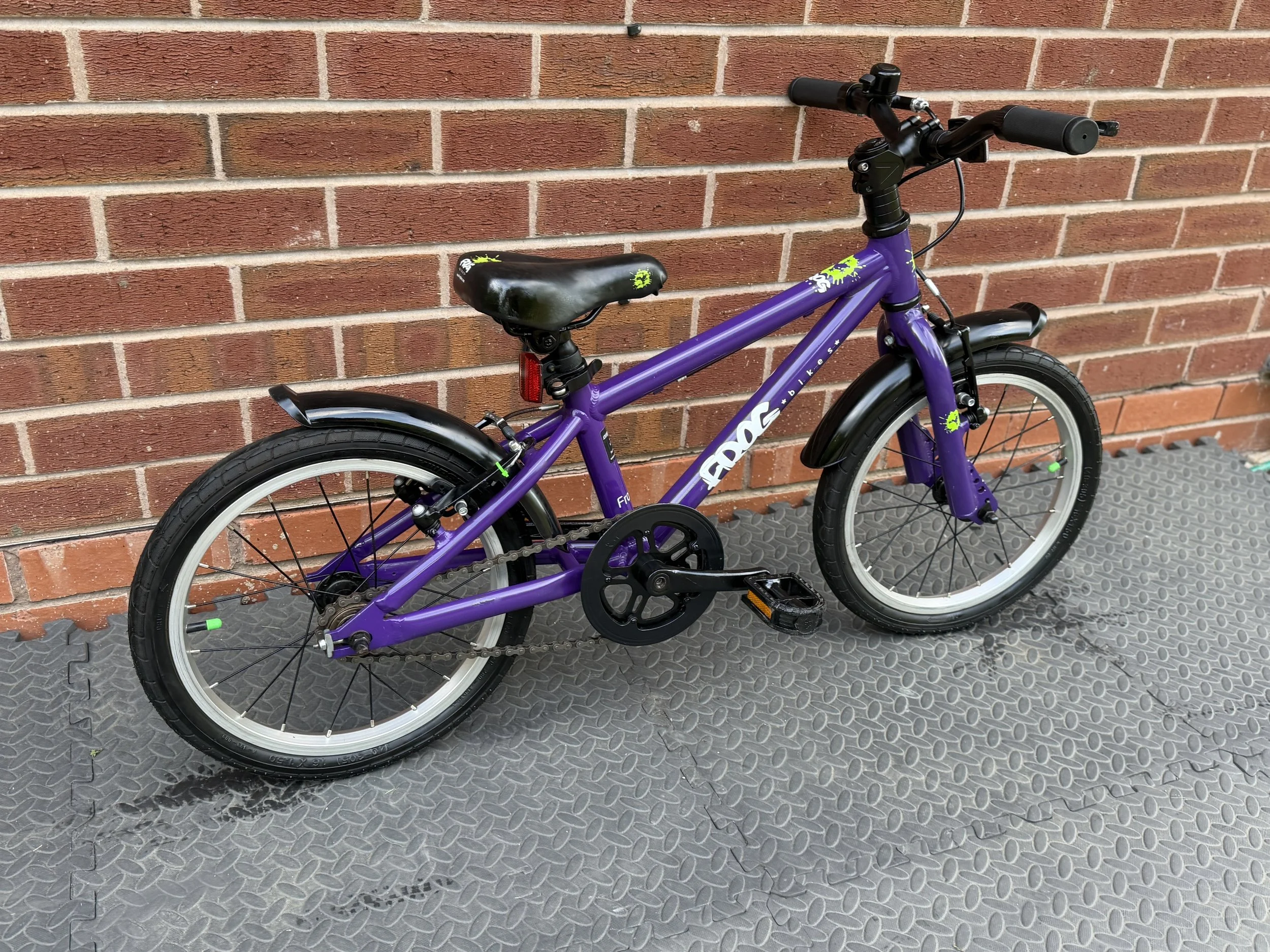 Purple Frog Bike 48 7 .jpg