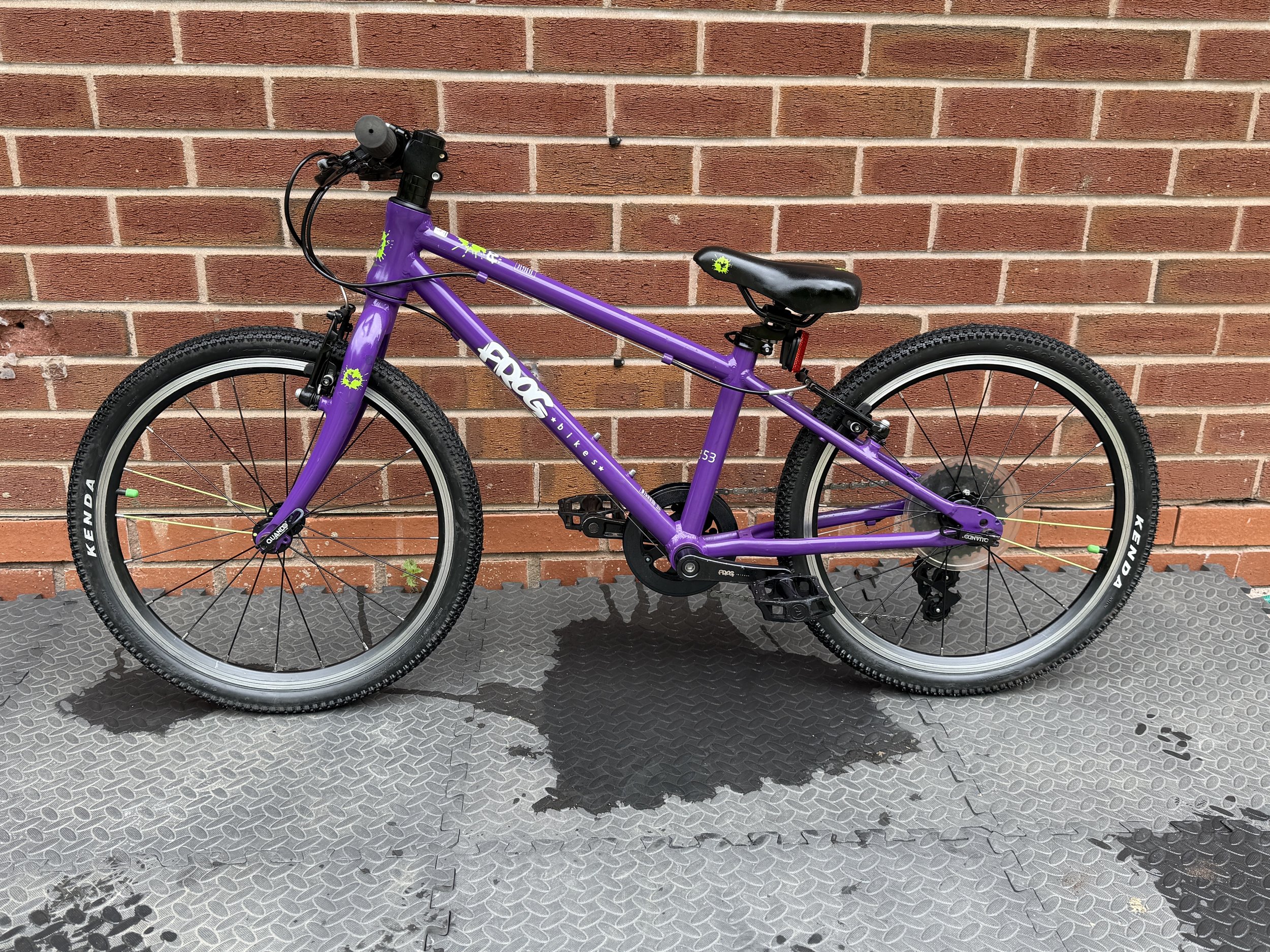 Purple Frog 53 1 .jpg