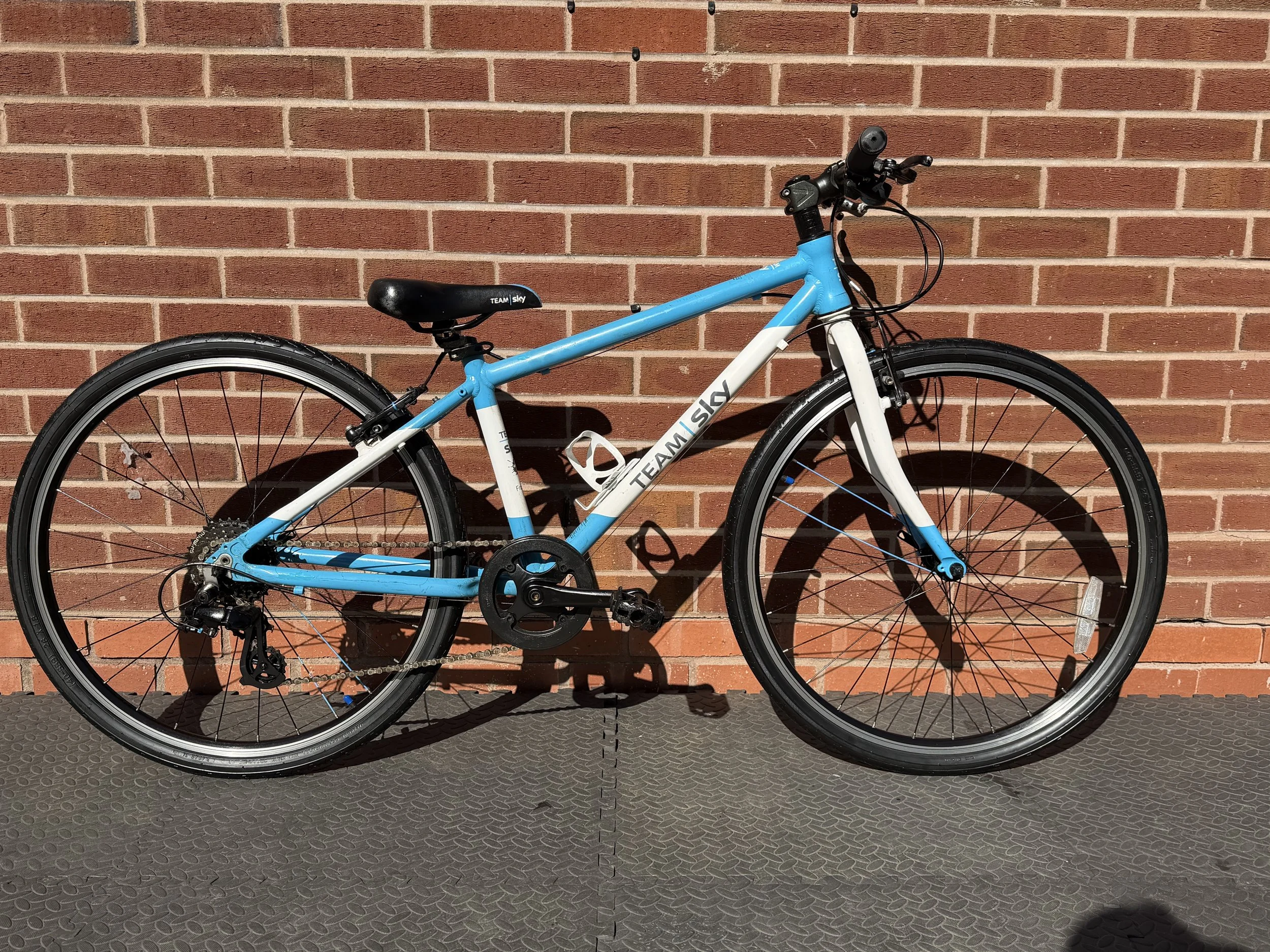 Team Sky Frog 69 6.jpg