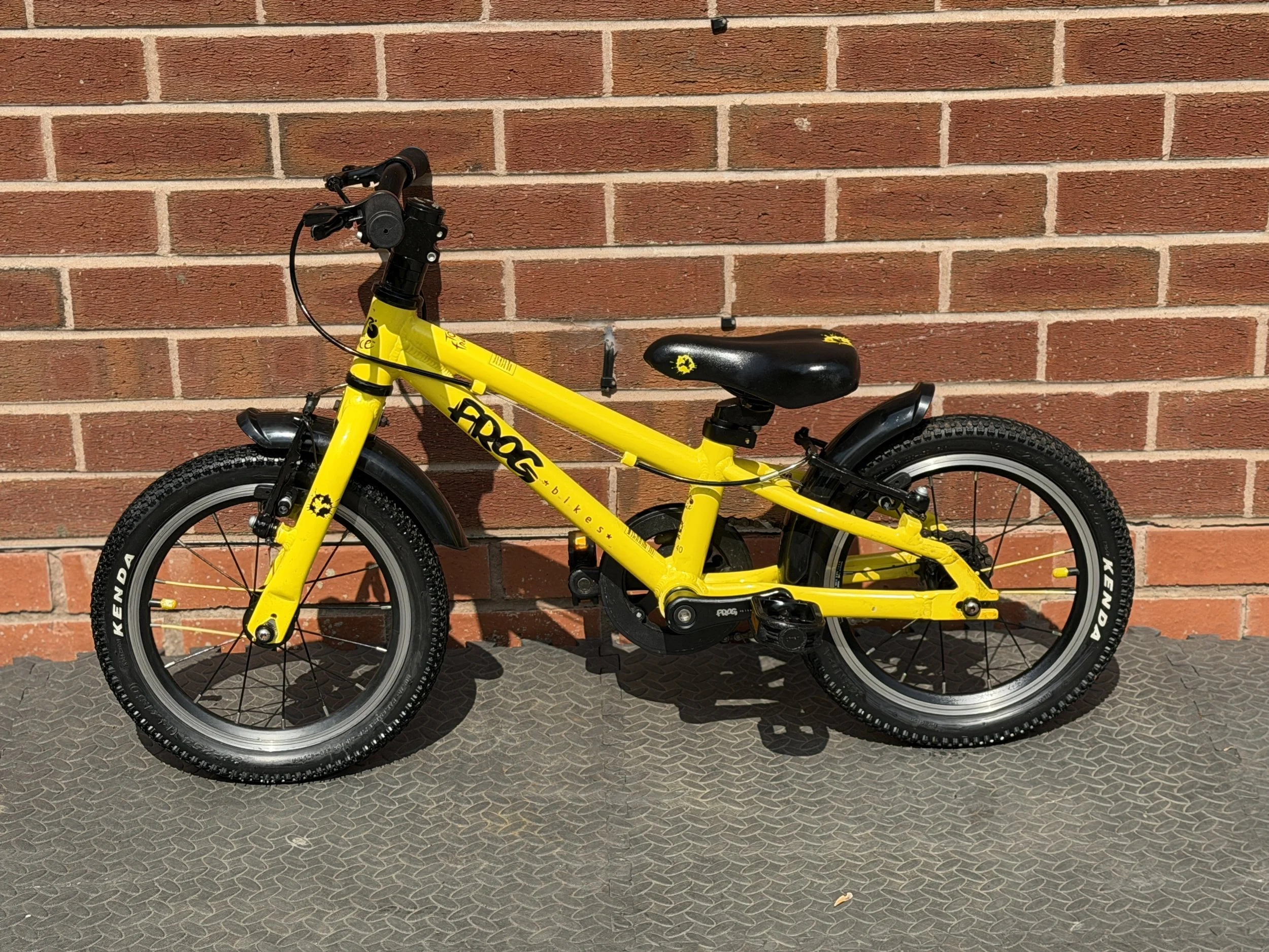 Yellow Frog 40 1 .jpg