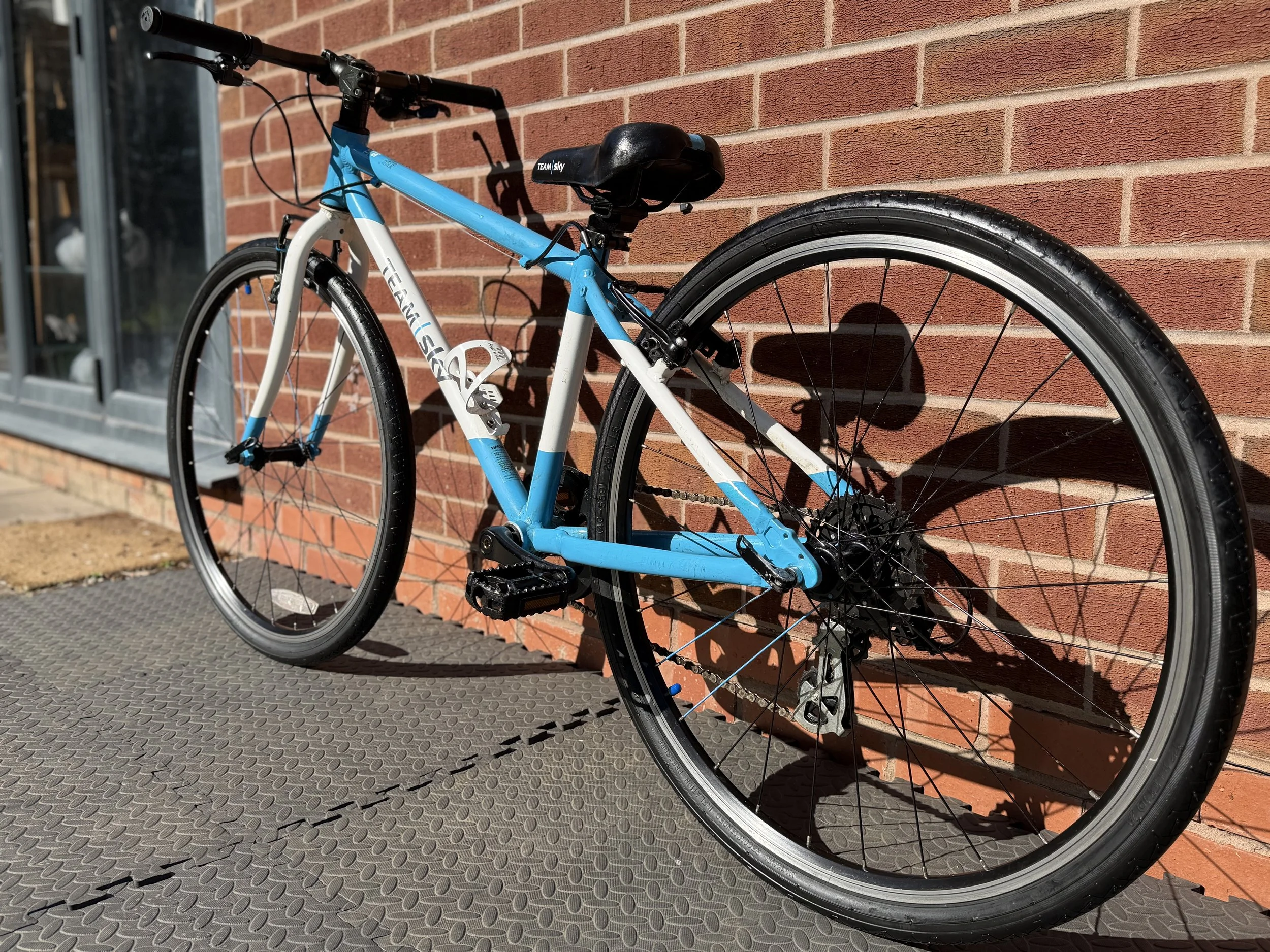 Team Sky Frog 69 4 .jpg