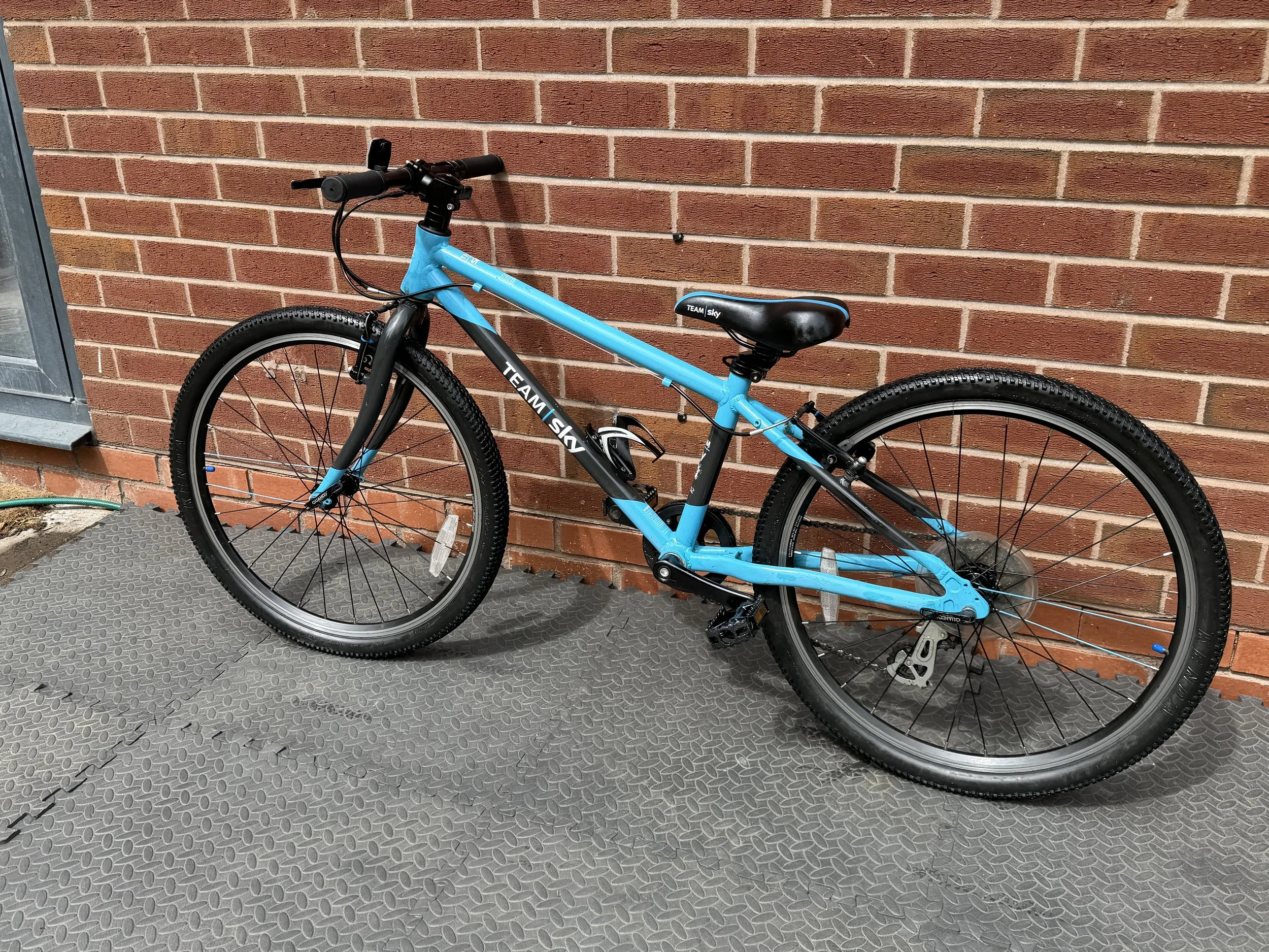 Team Sky Frog Bike 3 .jpg