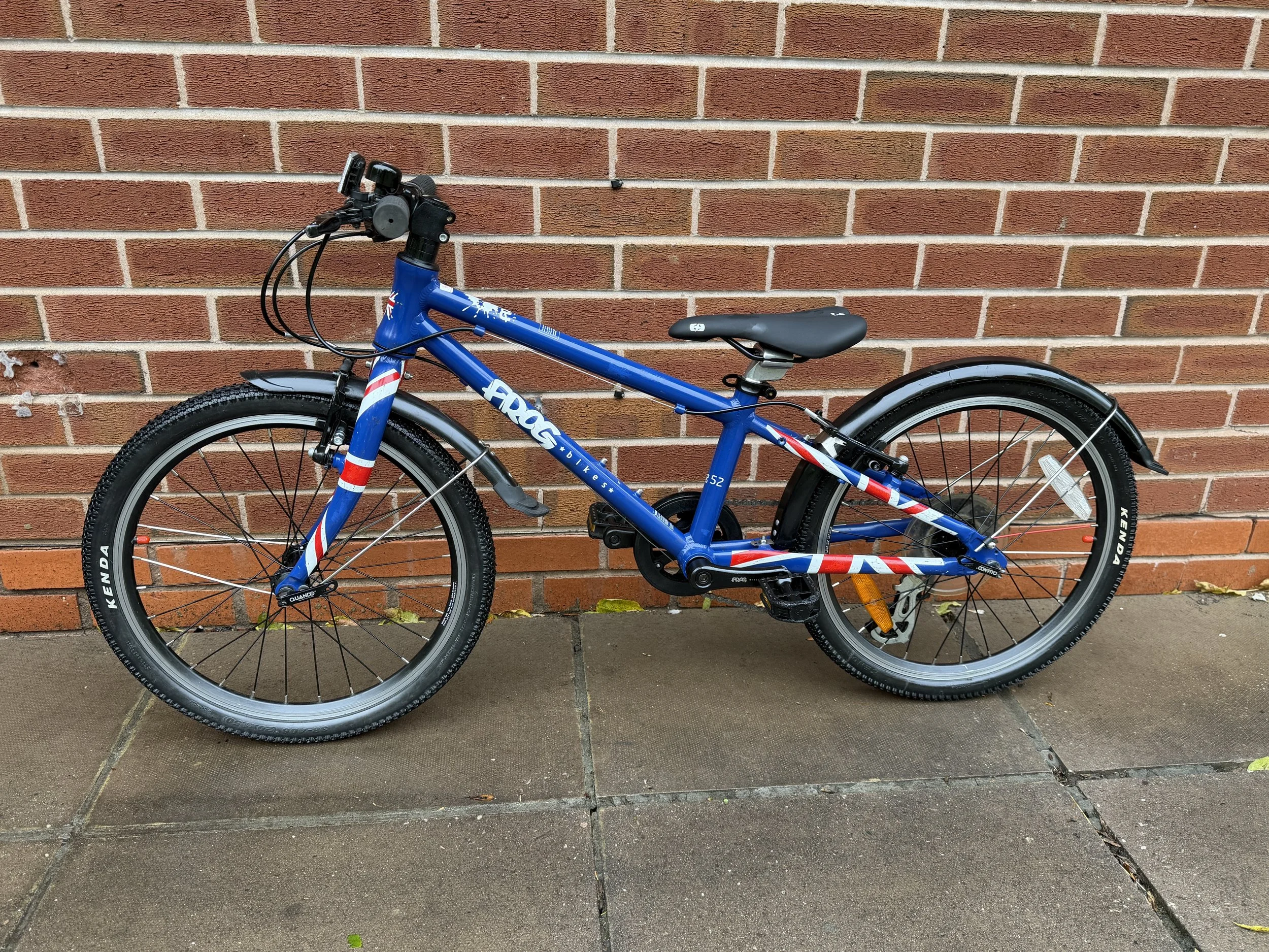 Frog Bike for sale 1 .jpg