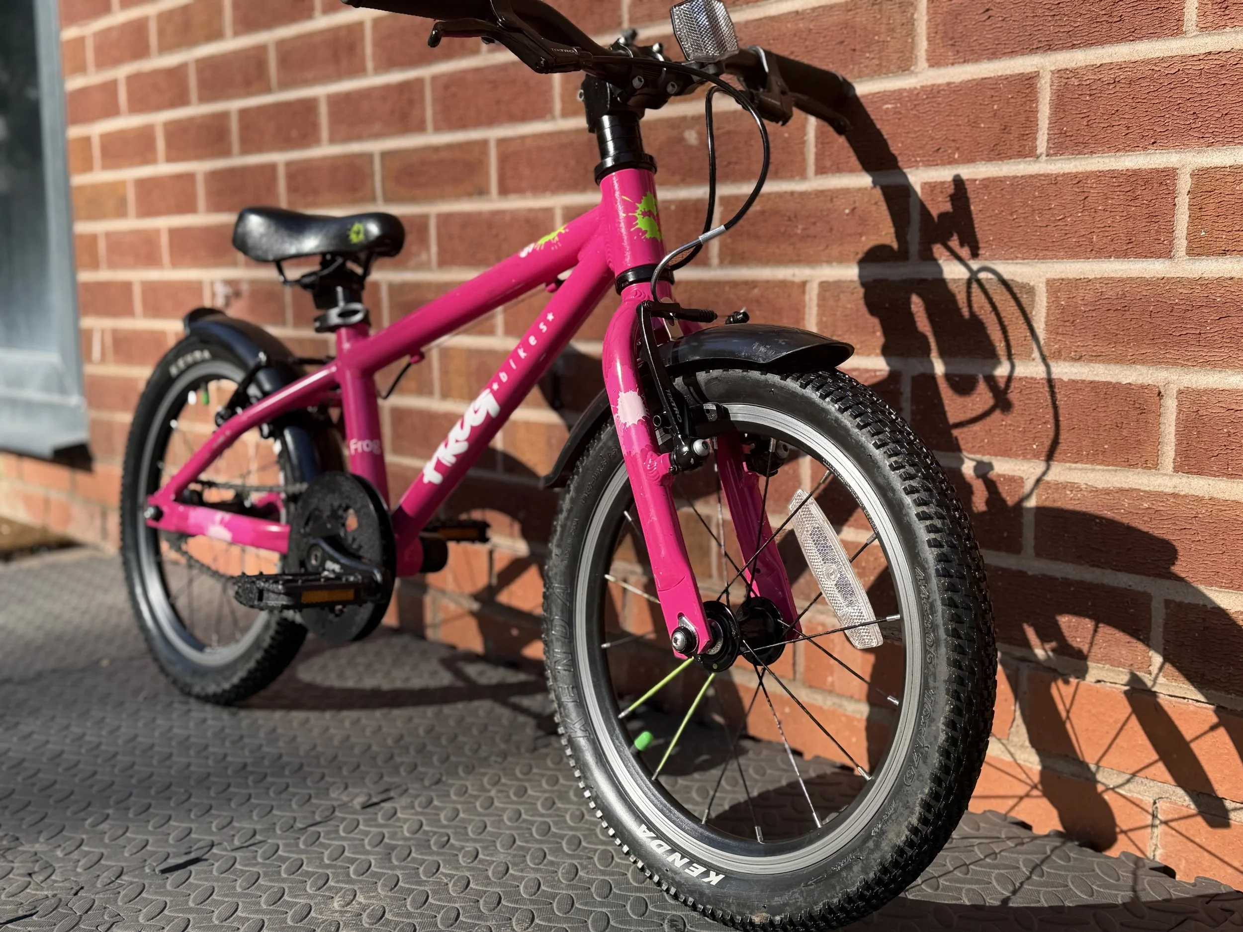 Pink Frog Bike 48 7.jpg