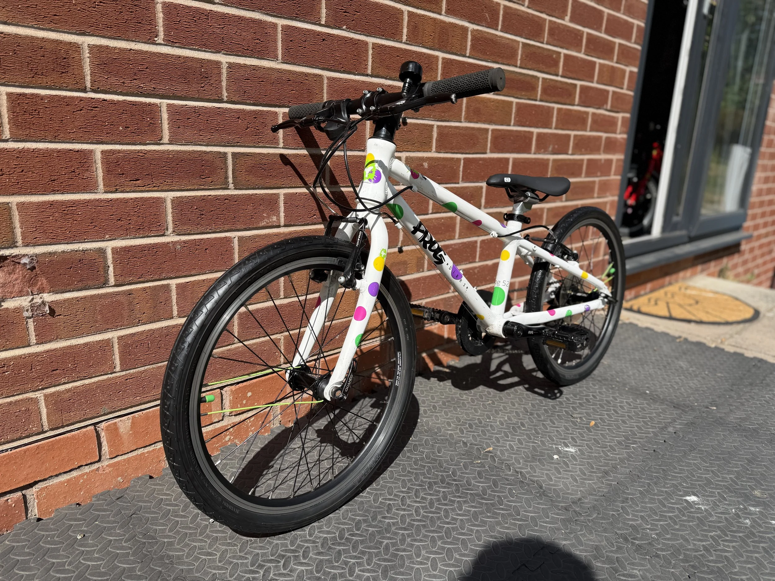 Spotty Frog 52 For Sale 5 .jpg