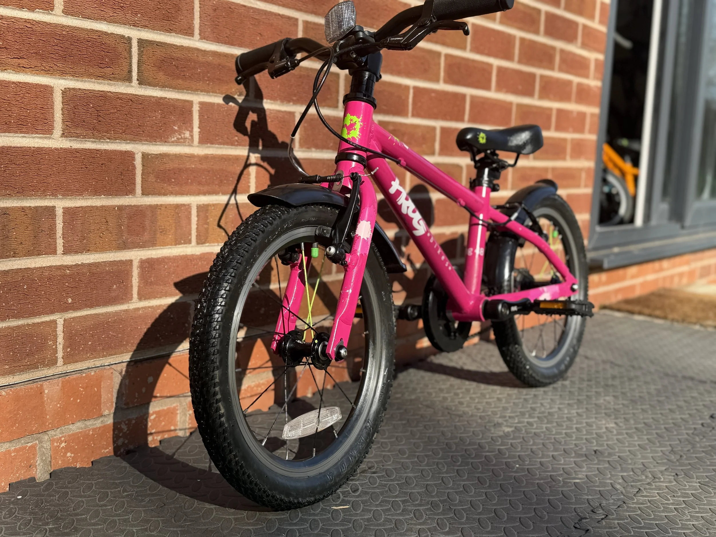 Pink Frog Bike 48 4.jpg