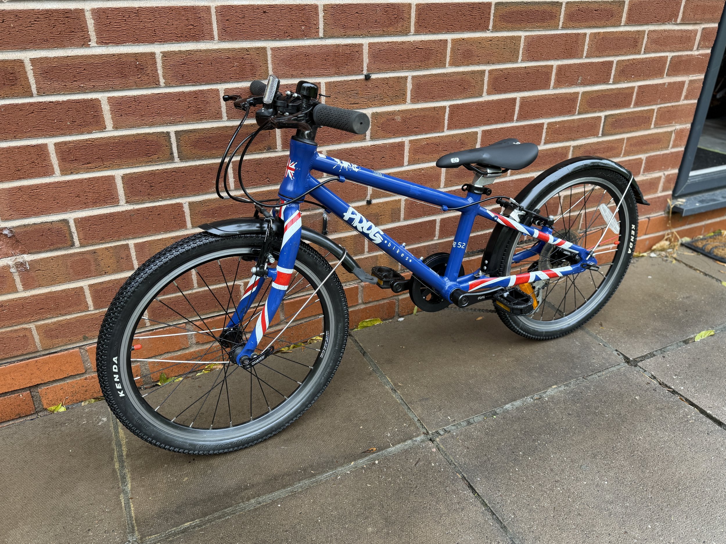 Frog Bike for sale 2 .jpg