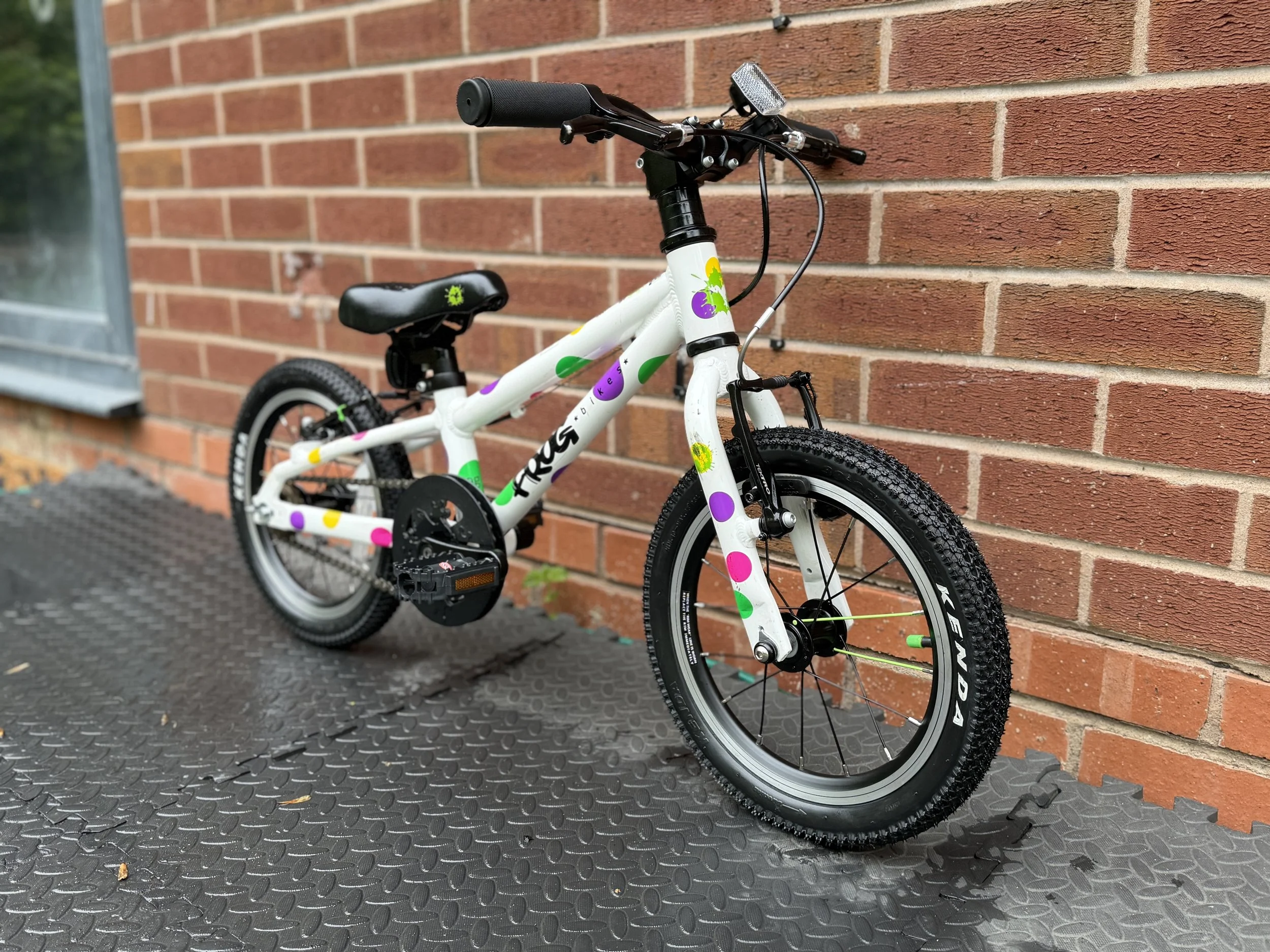 Spotty Frog 40 9.jpg