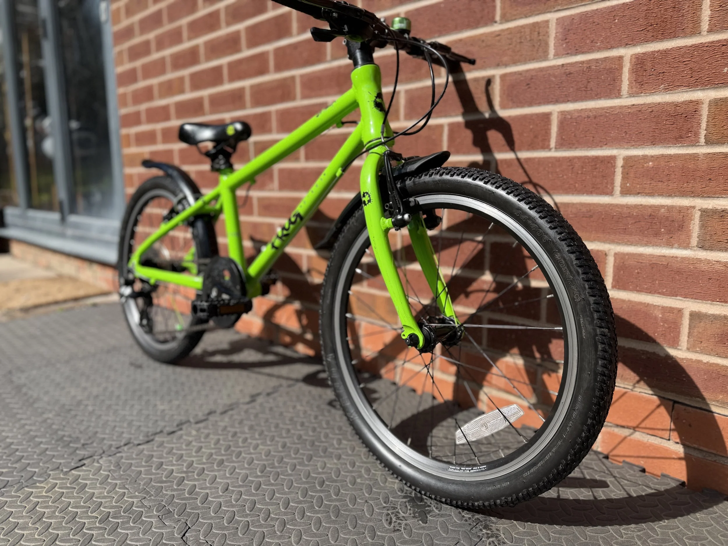 Green Frog Bike 55 9 .jpg