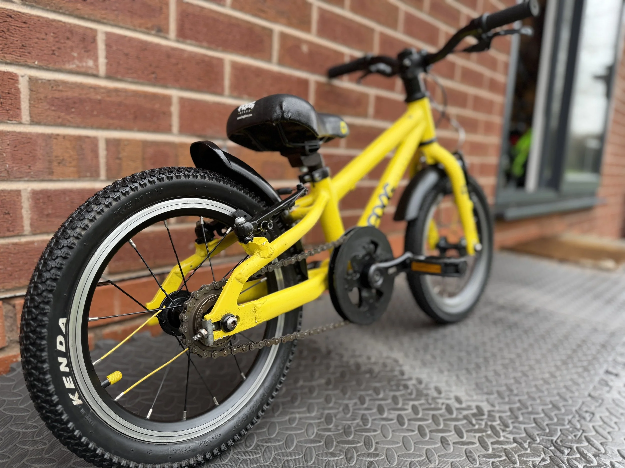 Yellow Frog Bike 40 5 .jpg