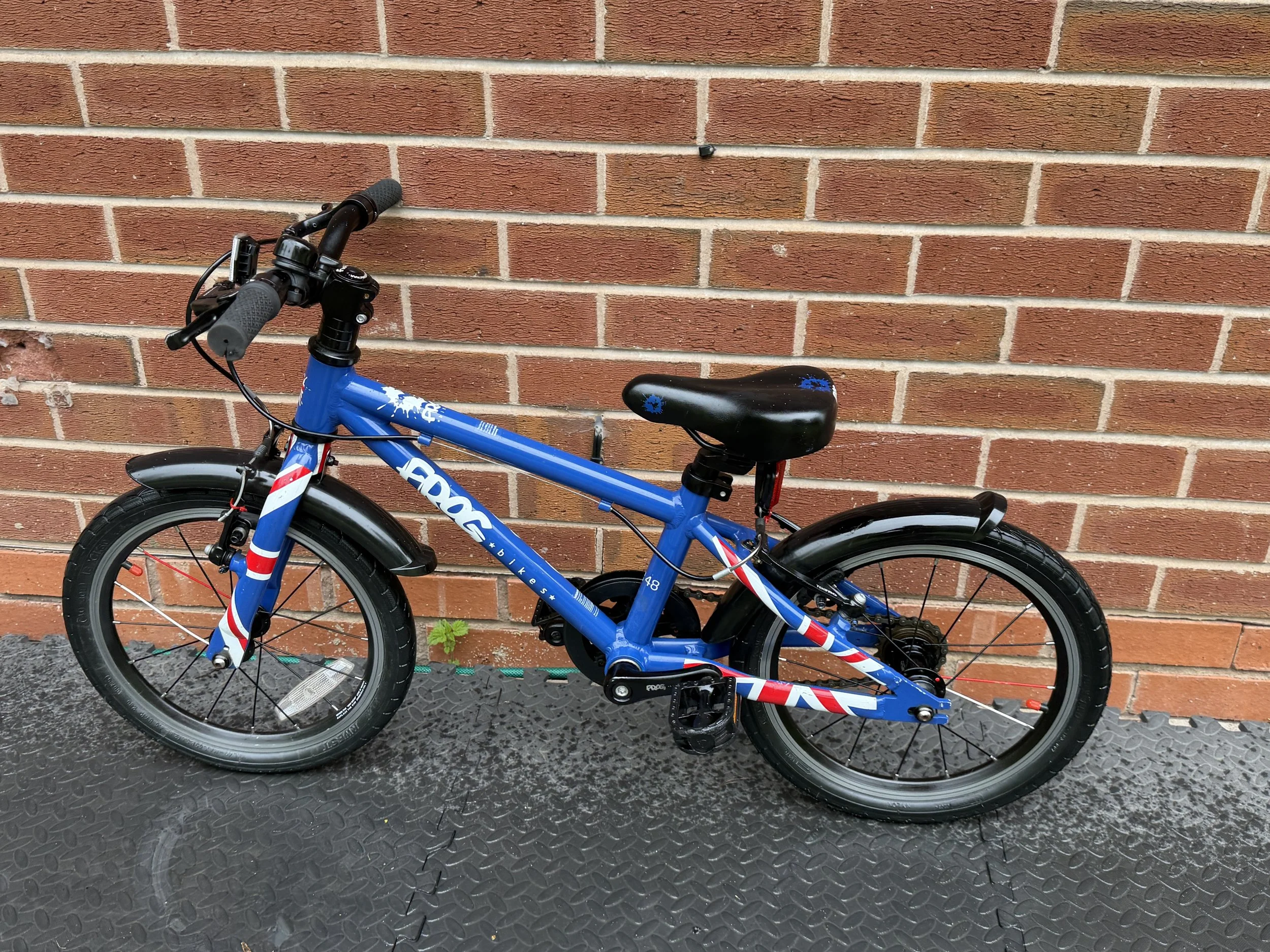 Blue Frog first pedal bike 3 .jpg
