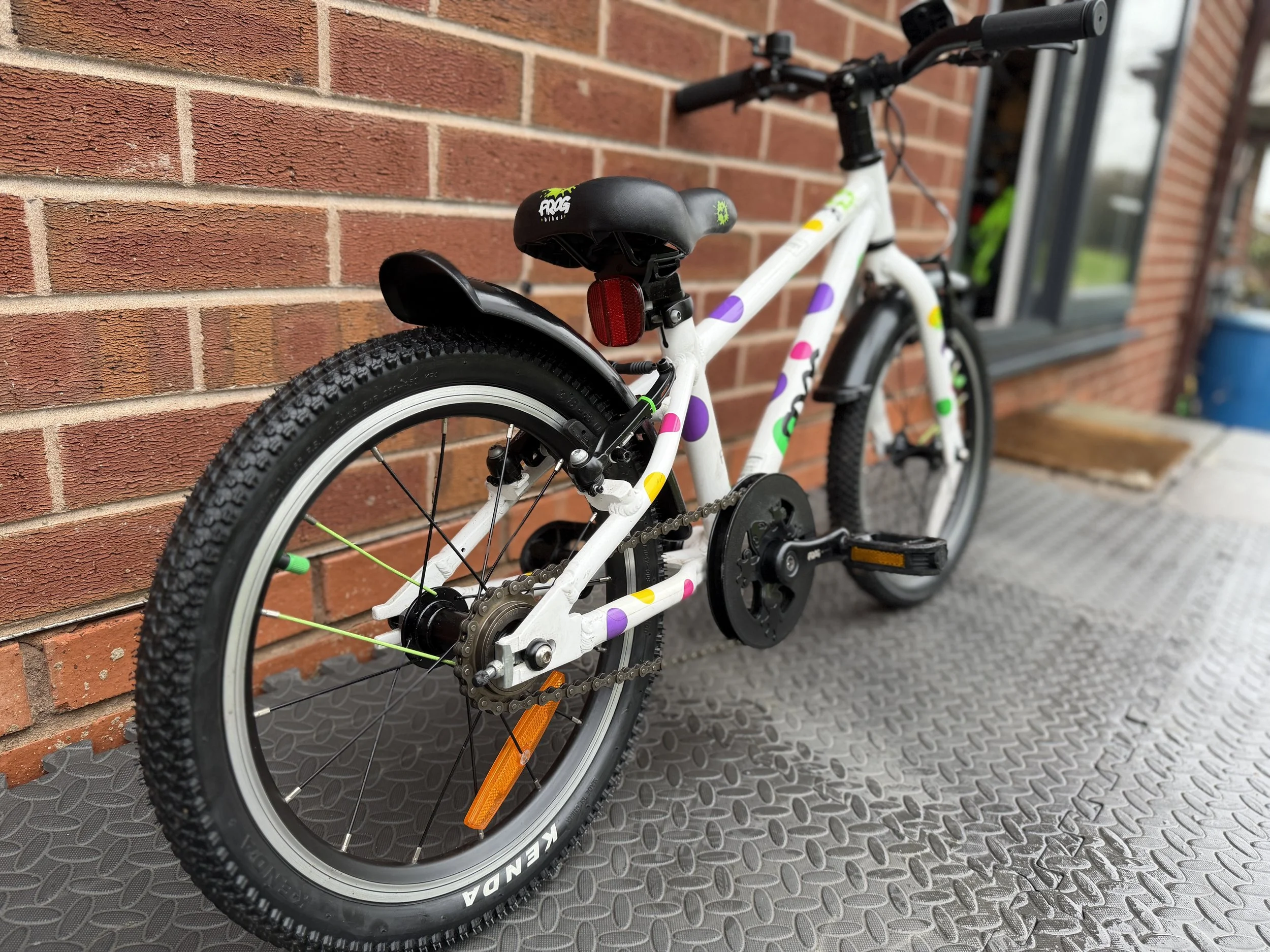 White Spotty Frog 44 10.jpg