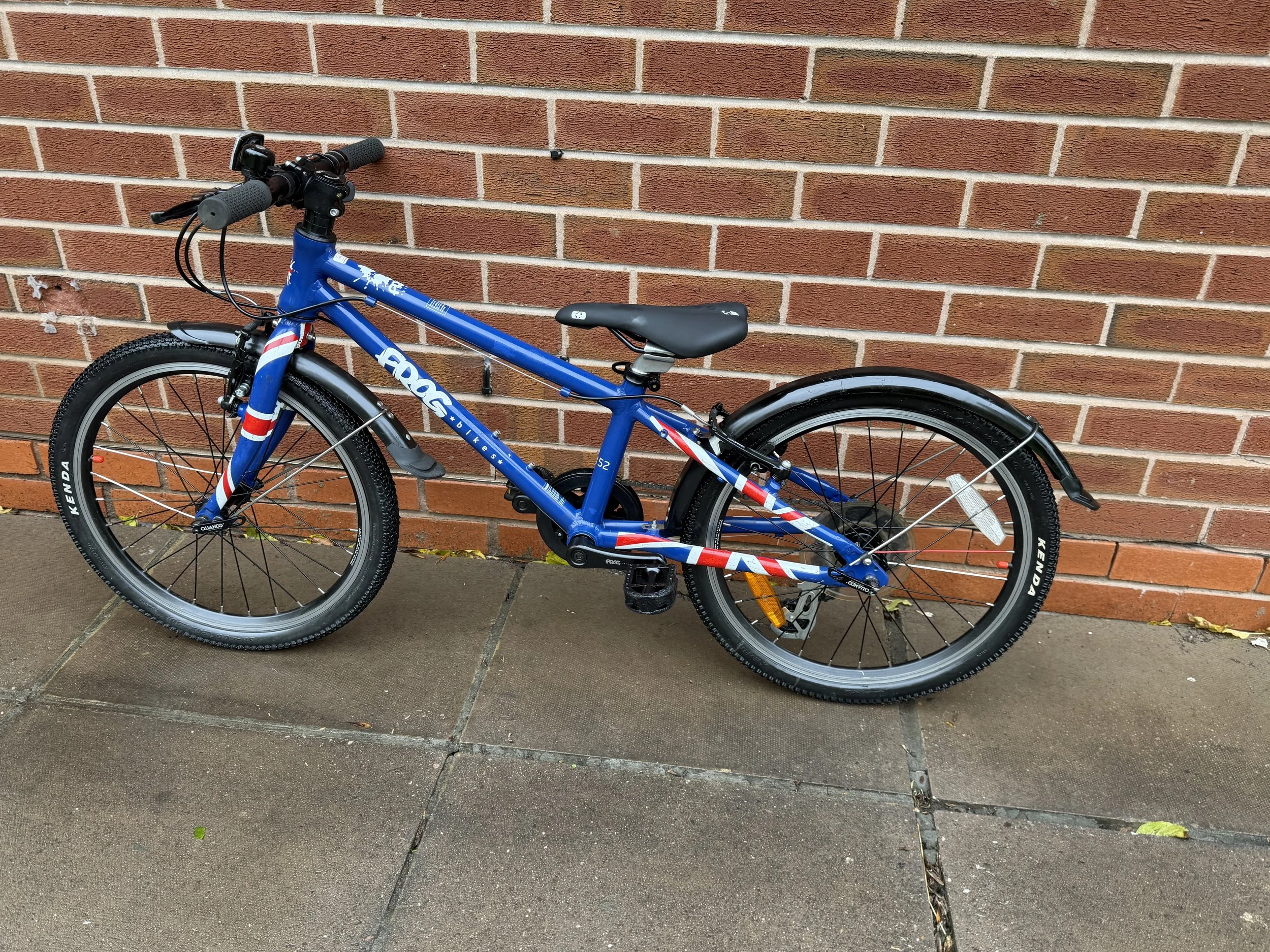 Frog Bike for sale 3 .jpg