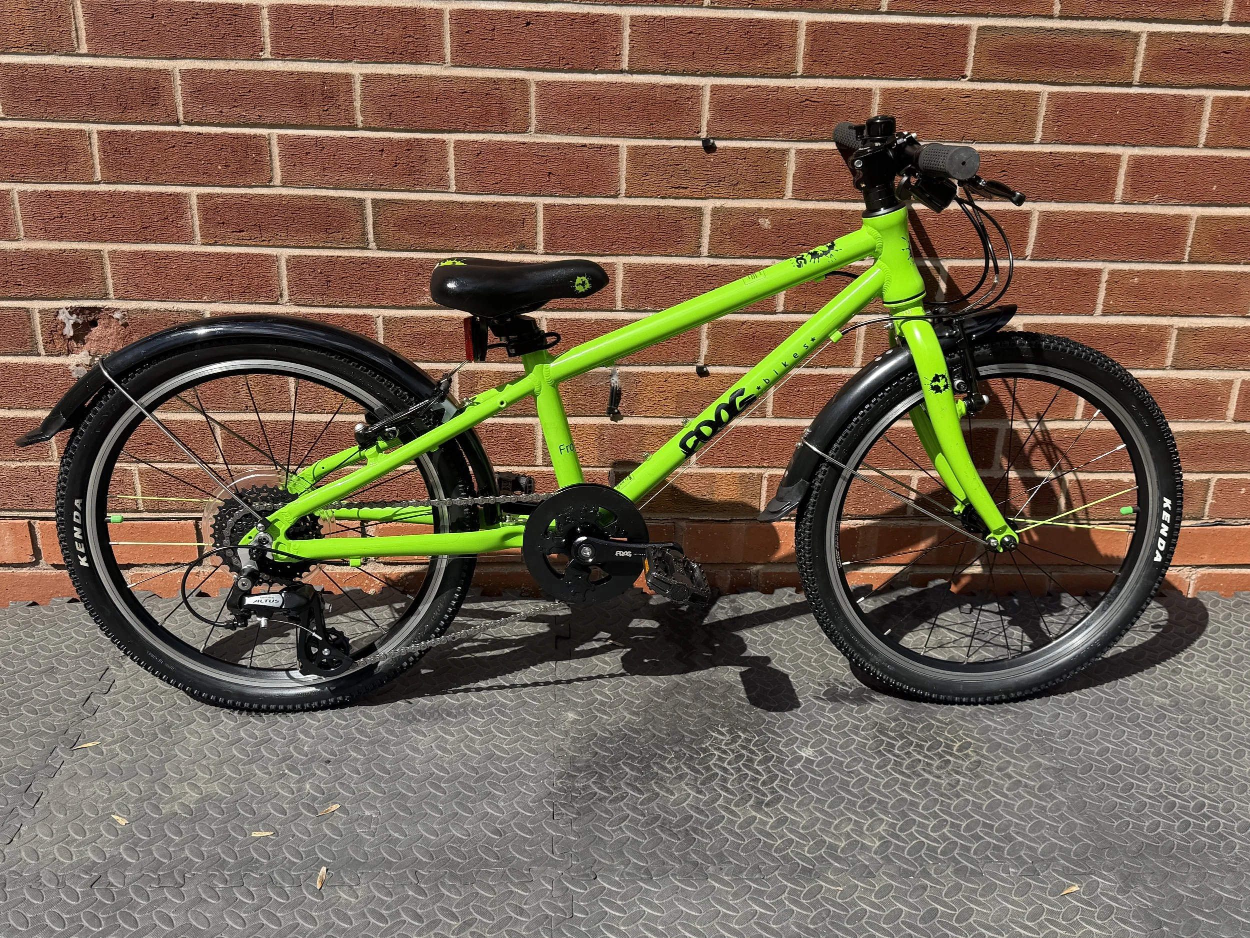 Green Frog 52 6 .jpg