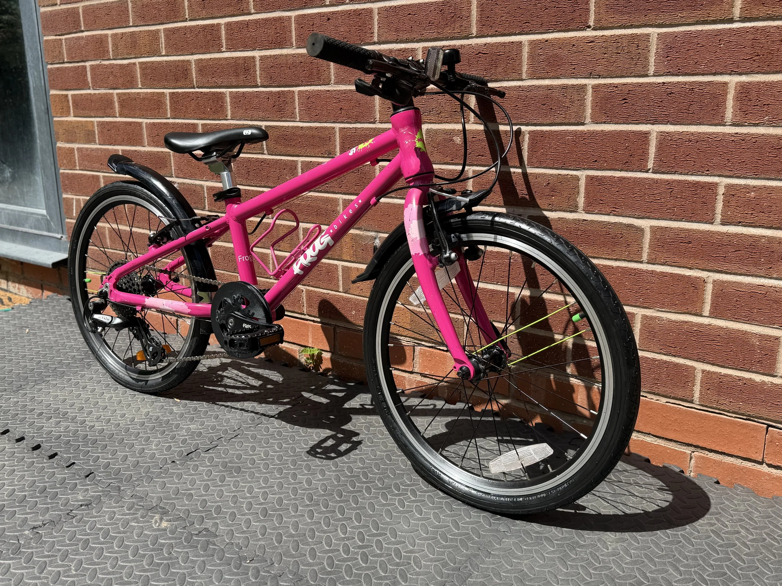 Pink Frog Bike 52 9.jpg