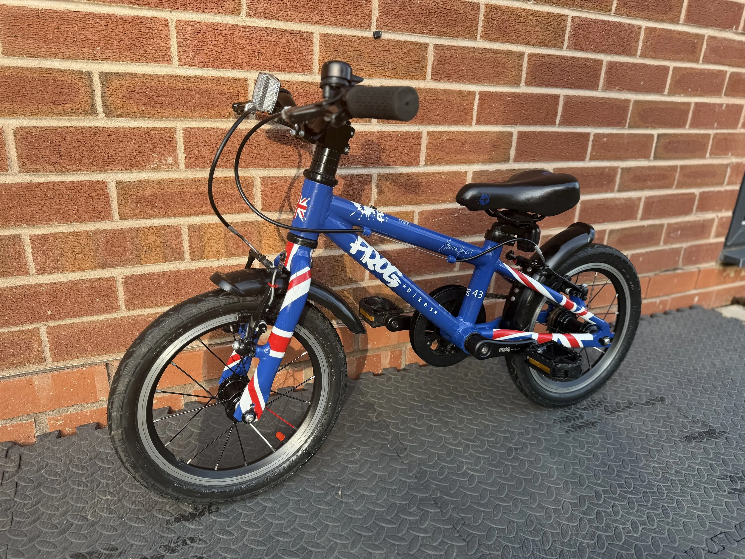 Blue Frog Bike 43,2 .jpg