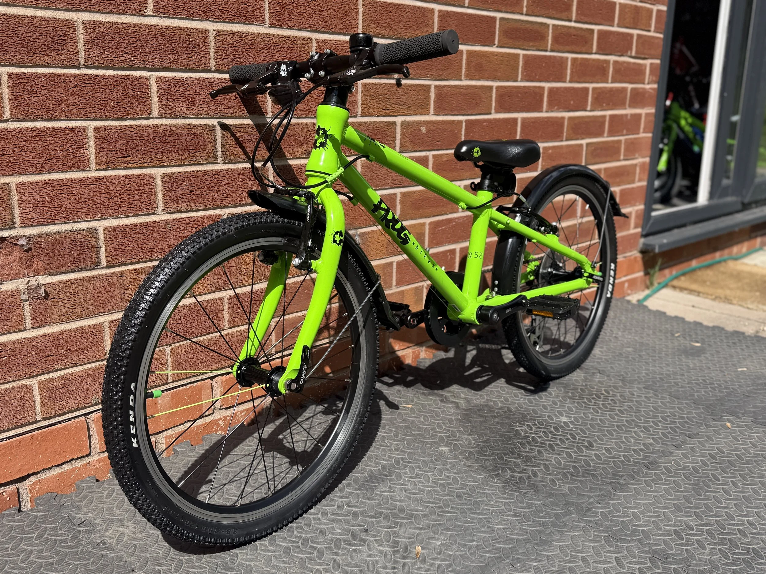 Green Frog 52 5 .jpg